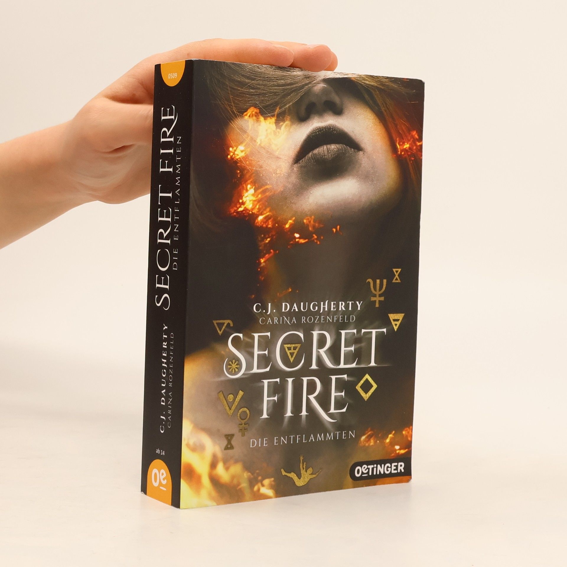 Christi Daugherty Secret fire - die Entflammten