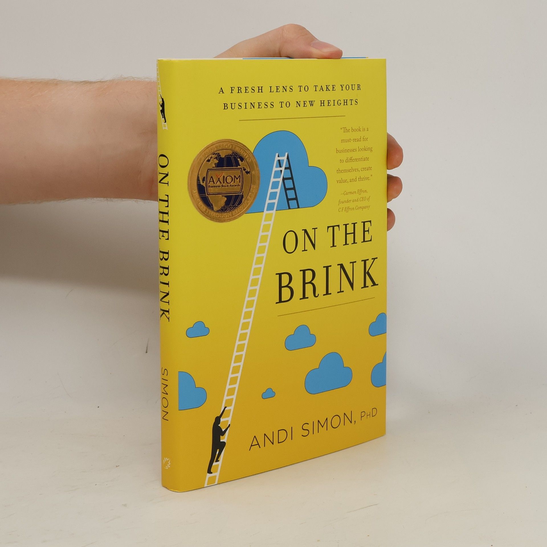 Andi Simon, PhD On the Brink: A Fresh Lens to Take Your Business to New Heights