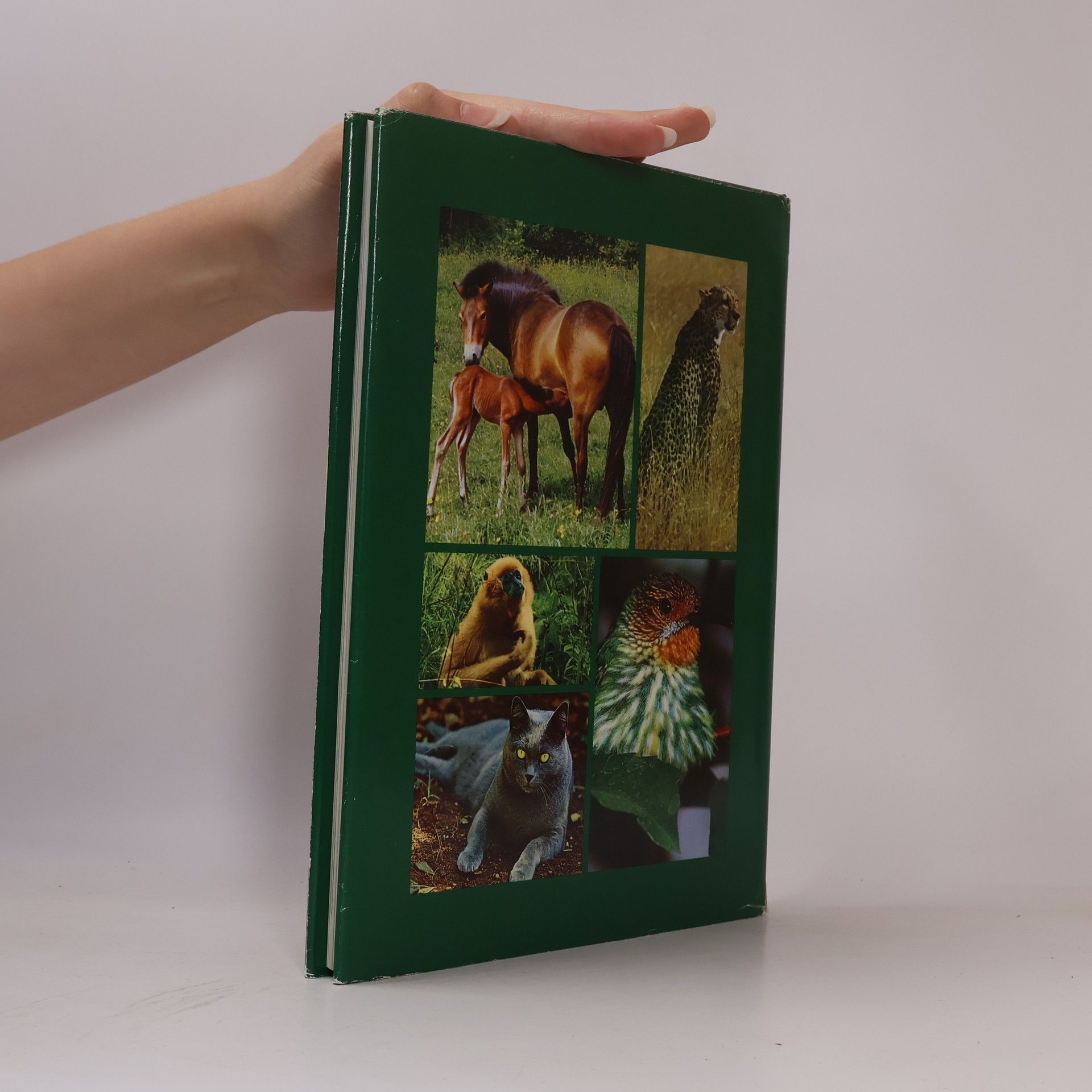 Various authors Grosses Lexikon der Tierwelt 4. Gar-Hör