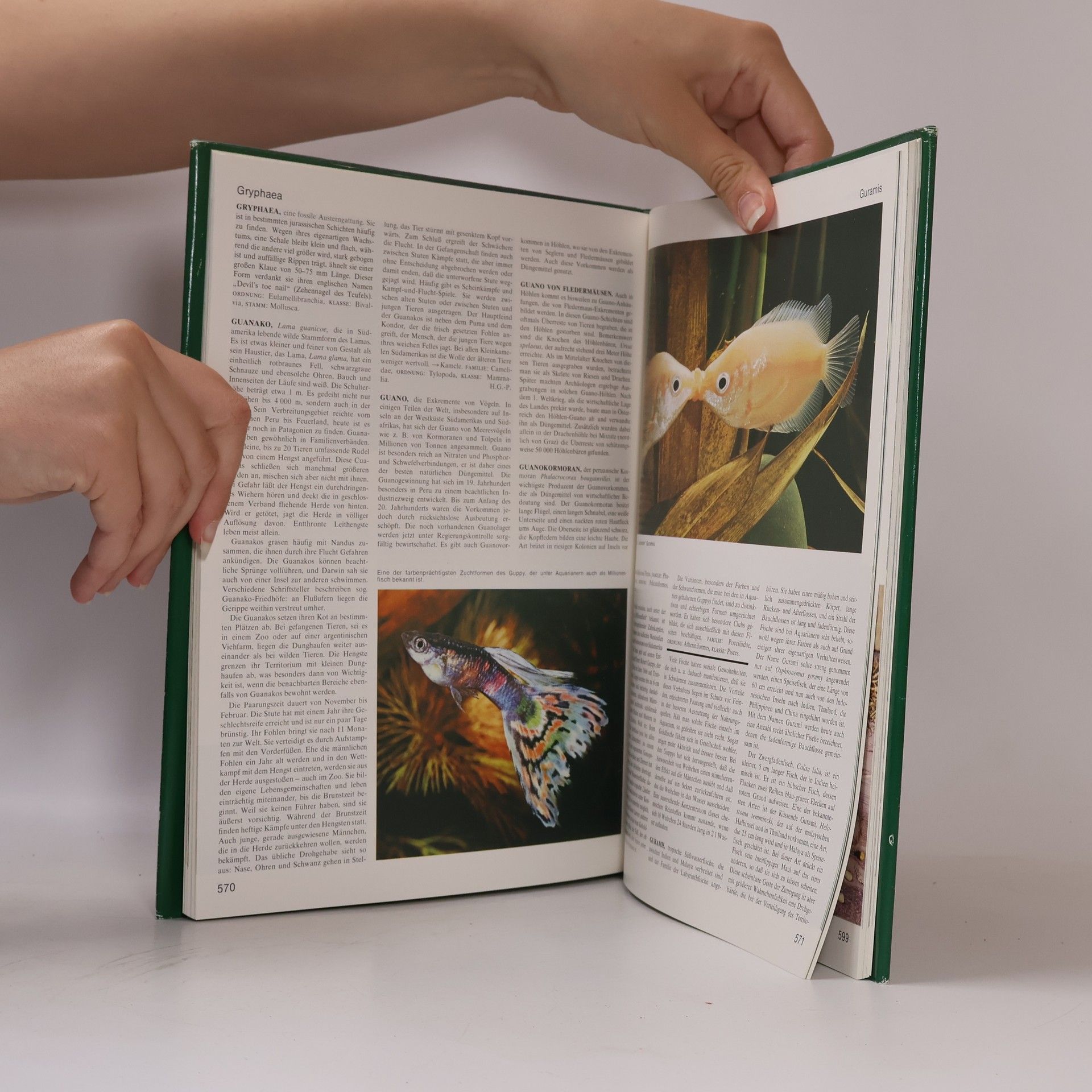 Various authors Grosses Lexikon der Tierwelt 4. Gar-Hör