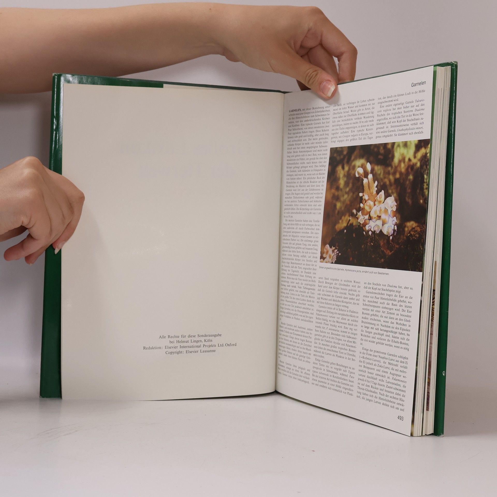 Various authors Grosses Lexikon der Tierwelt 4. Gar-Hör