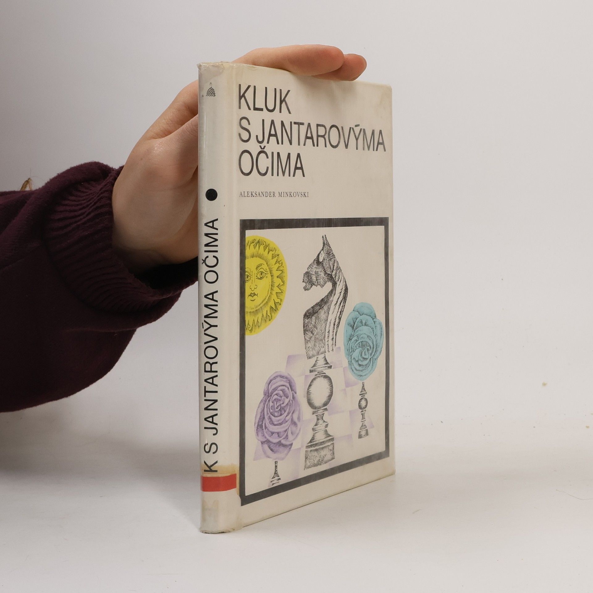 Eva Jílková Kluk s jantarovýma očima