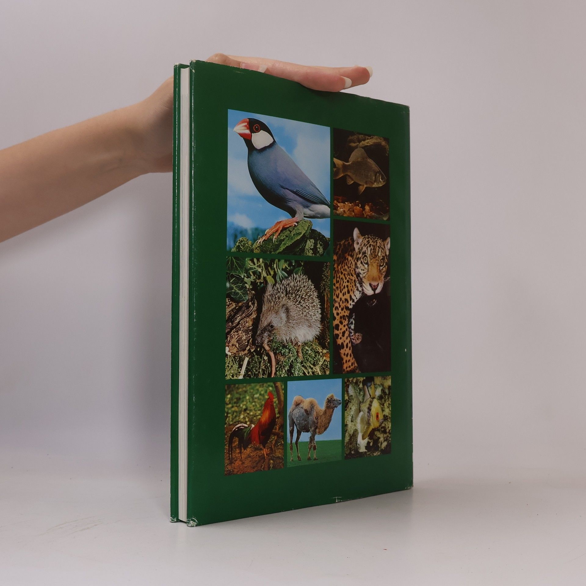 Autorenkollektiv Grosses Lexikon der Tierwelt 5. Huch-Krak