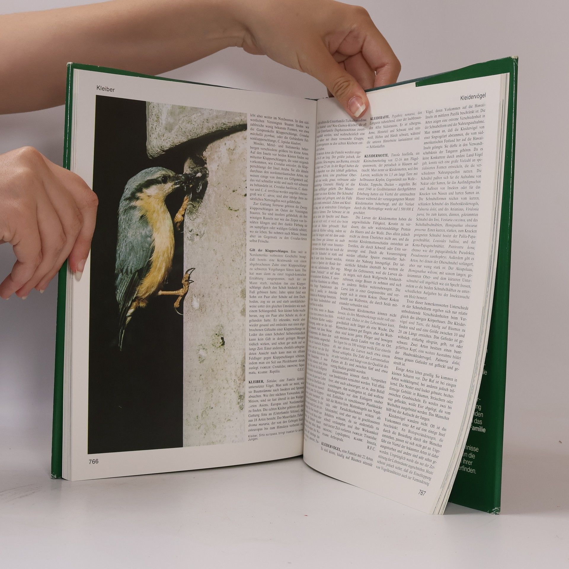 Autorenkollektiv Grosses Lexikon der Tierwelt 5. Huch-Krak