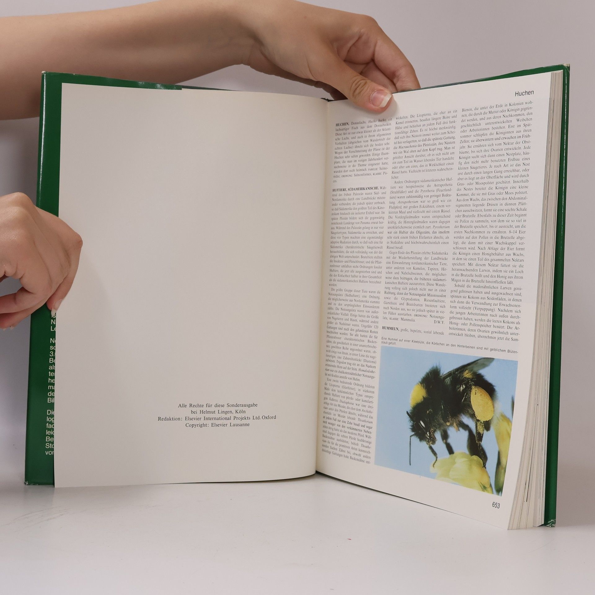 Autorenkollektiv Grosses Lexikon der Tierwelt 5. Huch-Krak