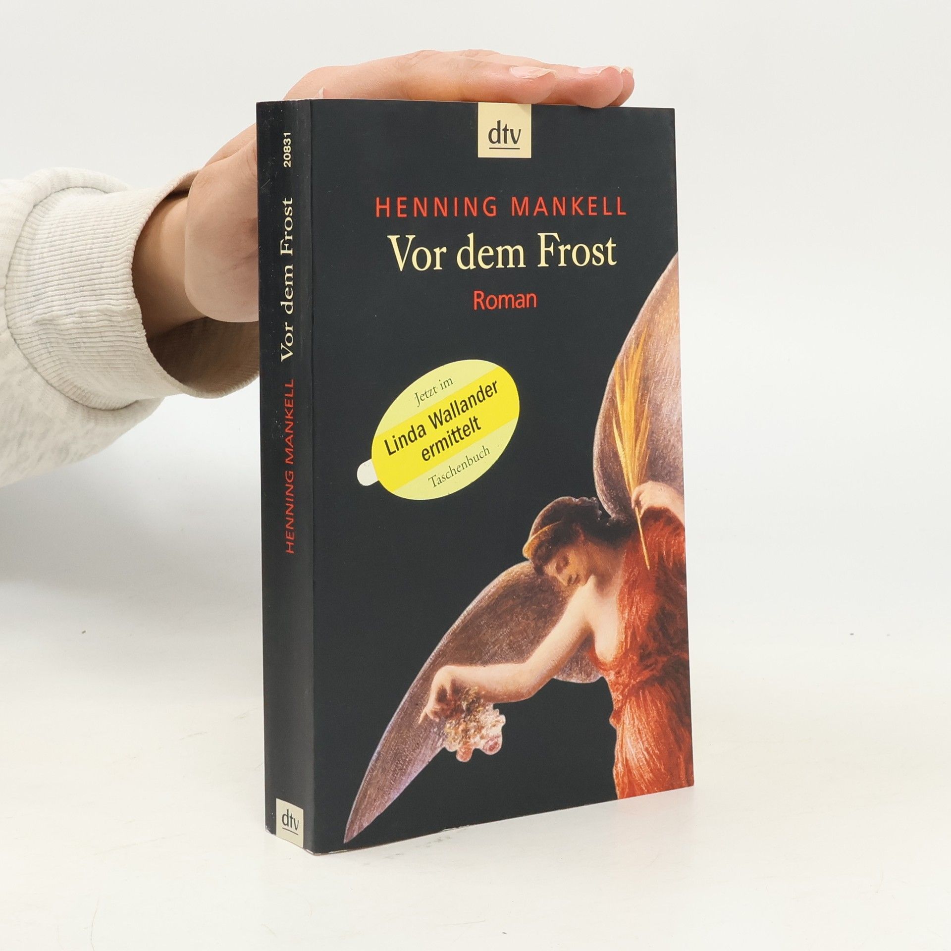 Henning Mankell Vor dem Frost