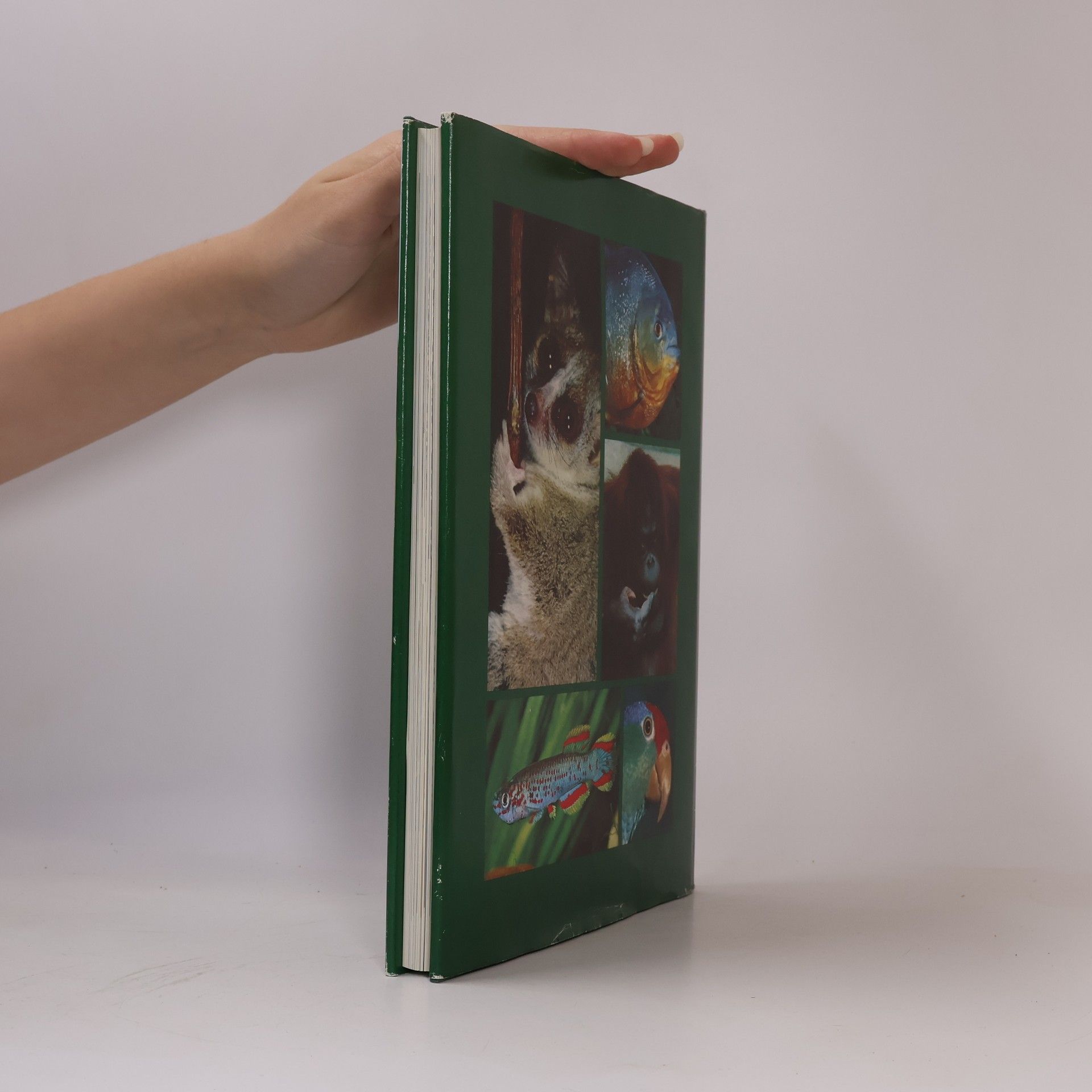 Various authors Das grosses Lexikon der Tierwelt 8. Öko-Räu