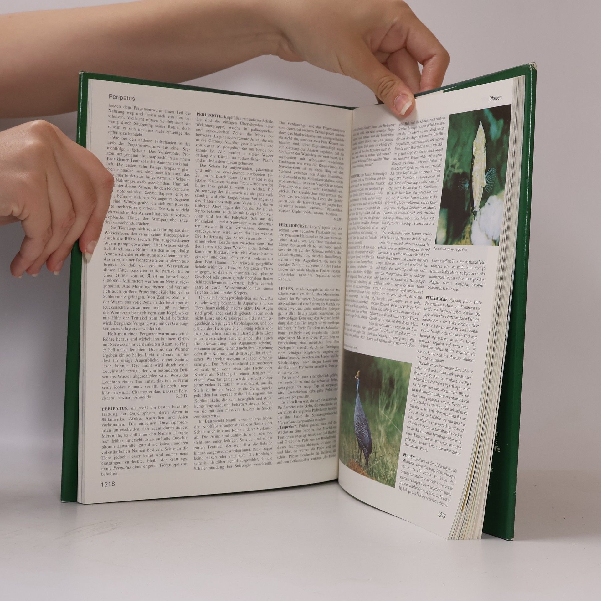 Various authors Das grosses Lexikon der Tierwelt 8. Öko-Räu