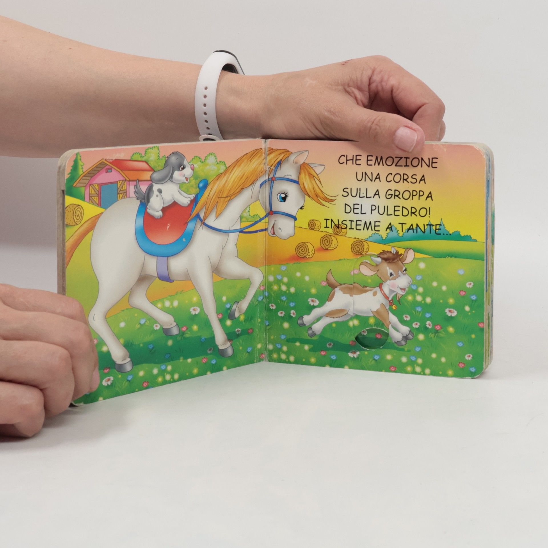 Scorrevoli degli animali: Giochi in fattoria. Ediz. illustrata