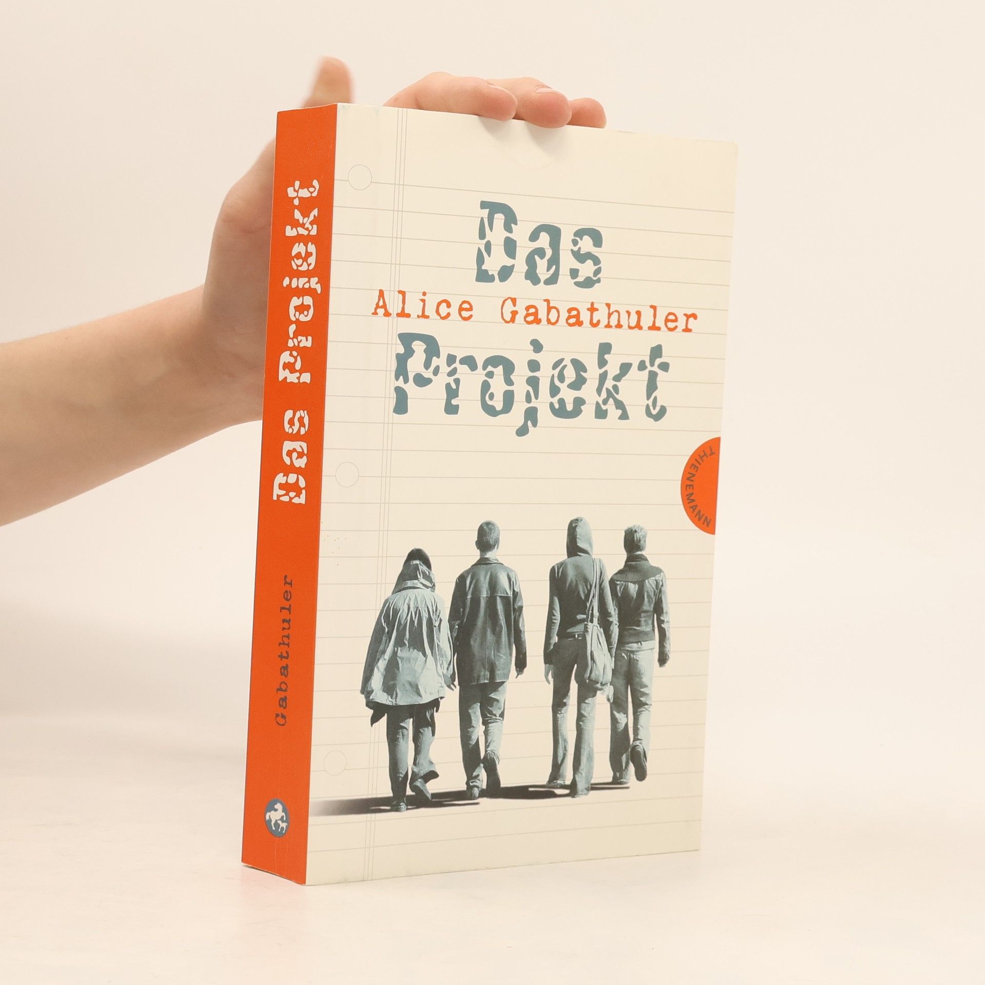 Alice Gabathuler Das Projekt