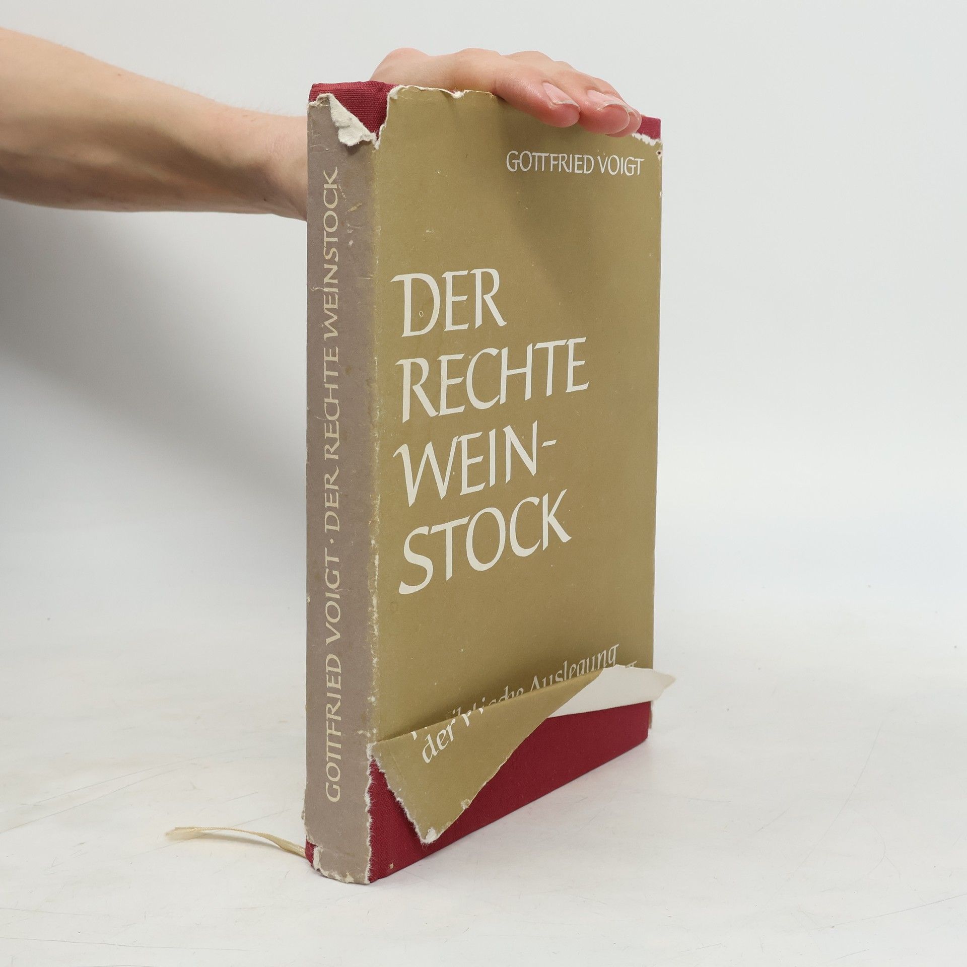 Gottfried Voigt Der rechte Weinstock