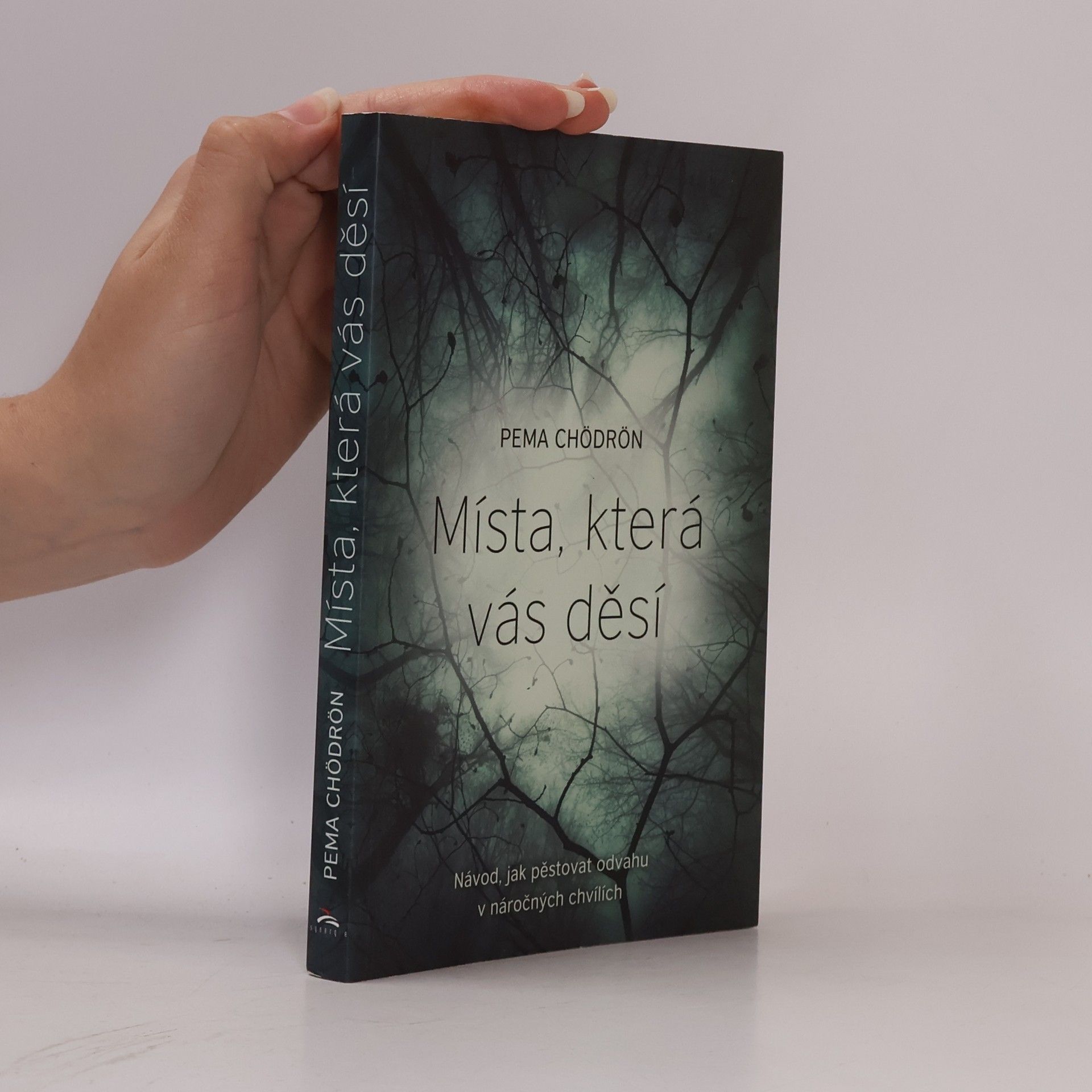 Pema Chödrön Místa, která vás děsí