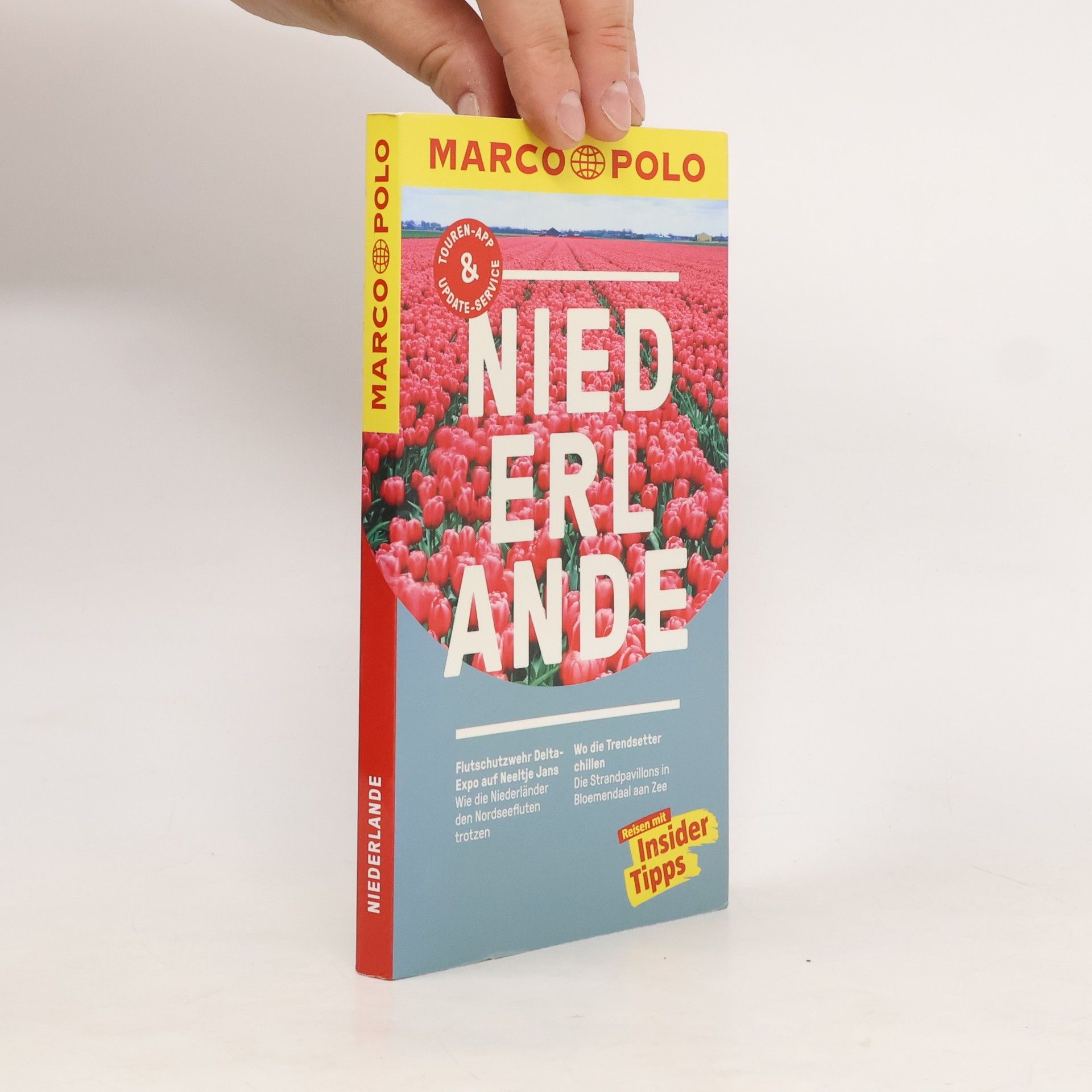 Elsbeth Gugger Niederlande