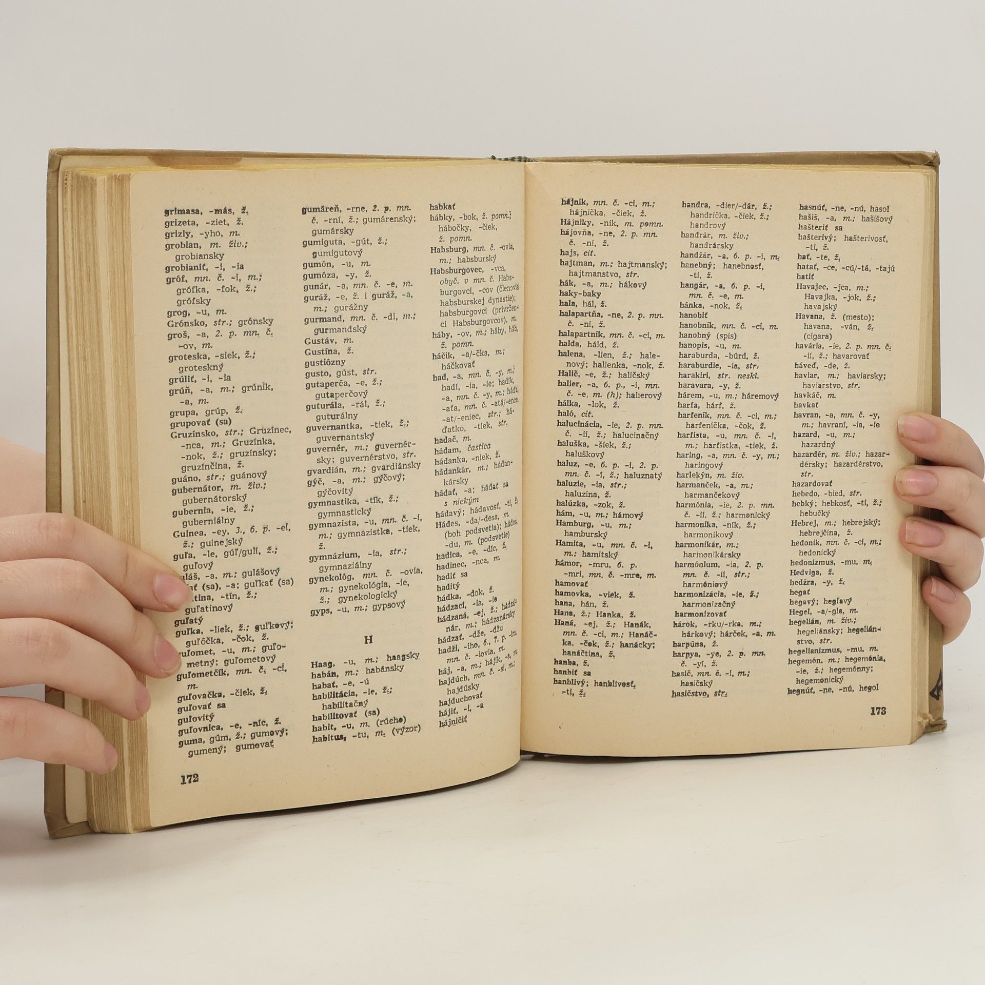 Kolektiv autorů Pravidla slovenského pravopisu