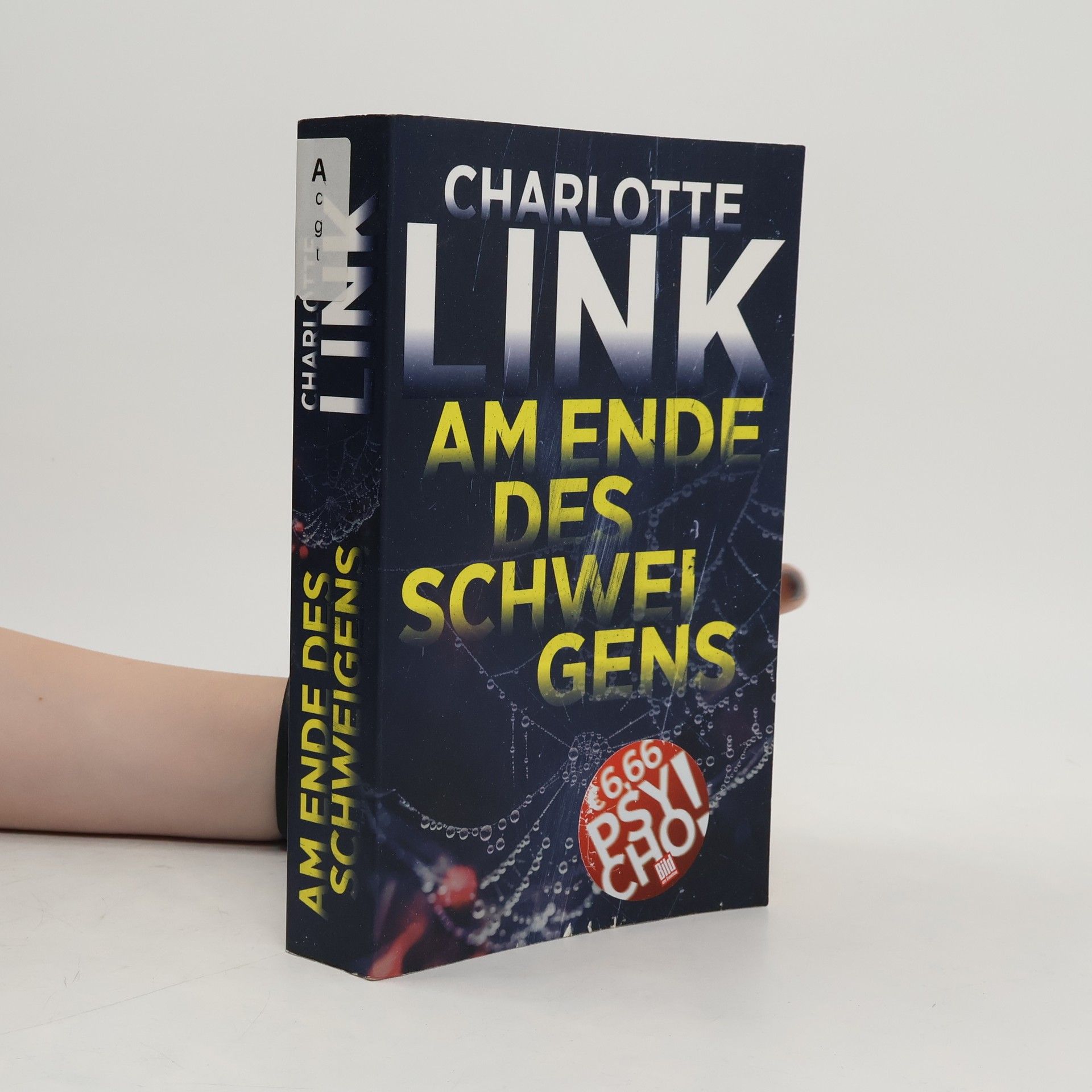 Charlotte Link Am Ende des Schweigens