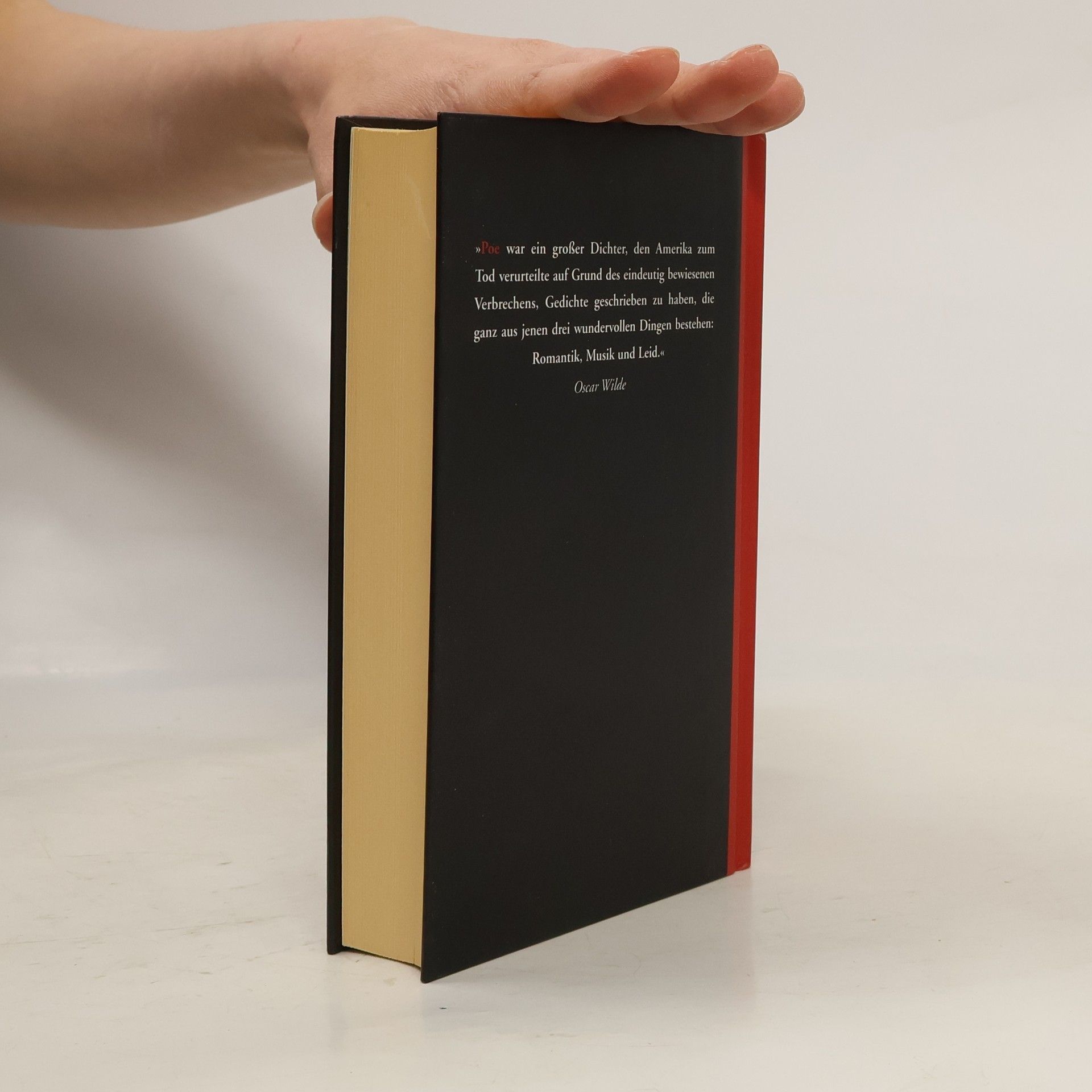Edgar Allan Poe Der Rabe