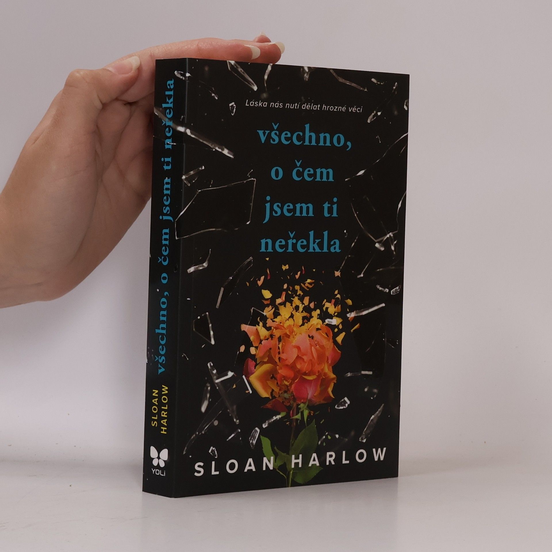 Sloan Harlow Všechno, o čem jsem ti neřekla