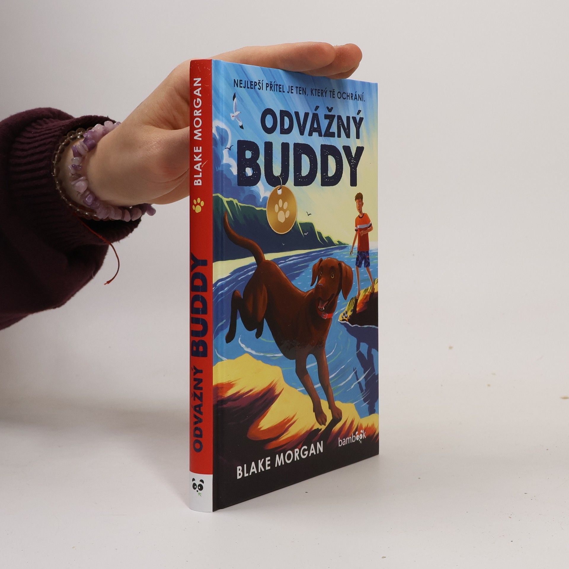 Odvážný Buddy