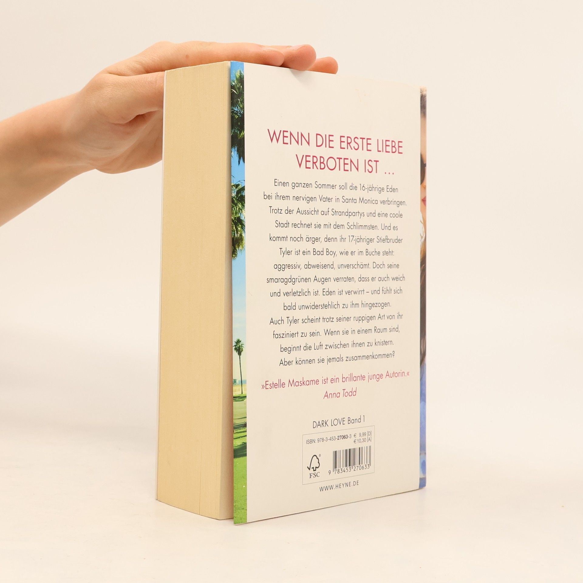 Estelle Maskame Dark Love: Dich darf ich nicht lieben