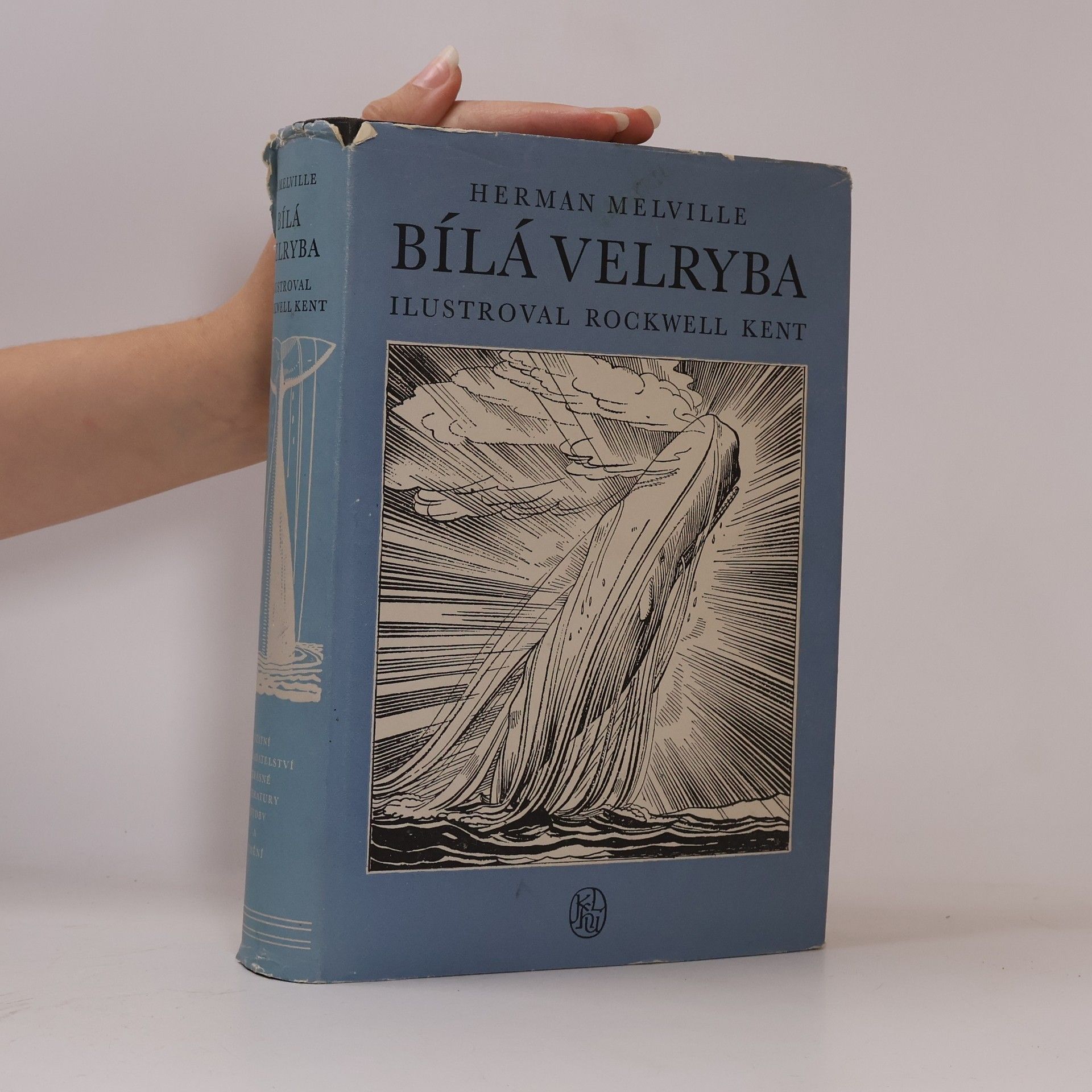 Herman Melville Bílá velryba