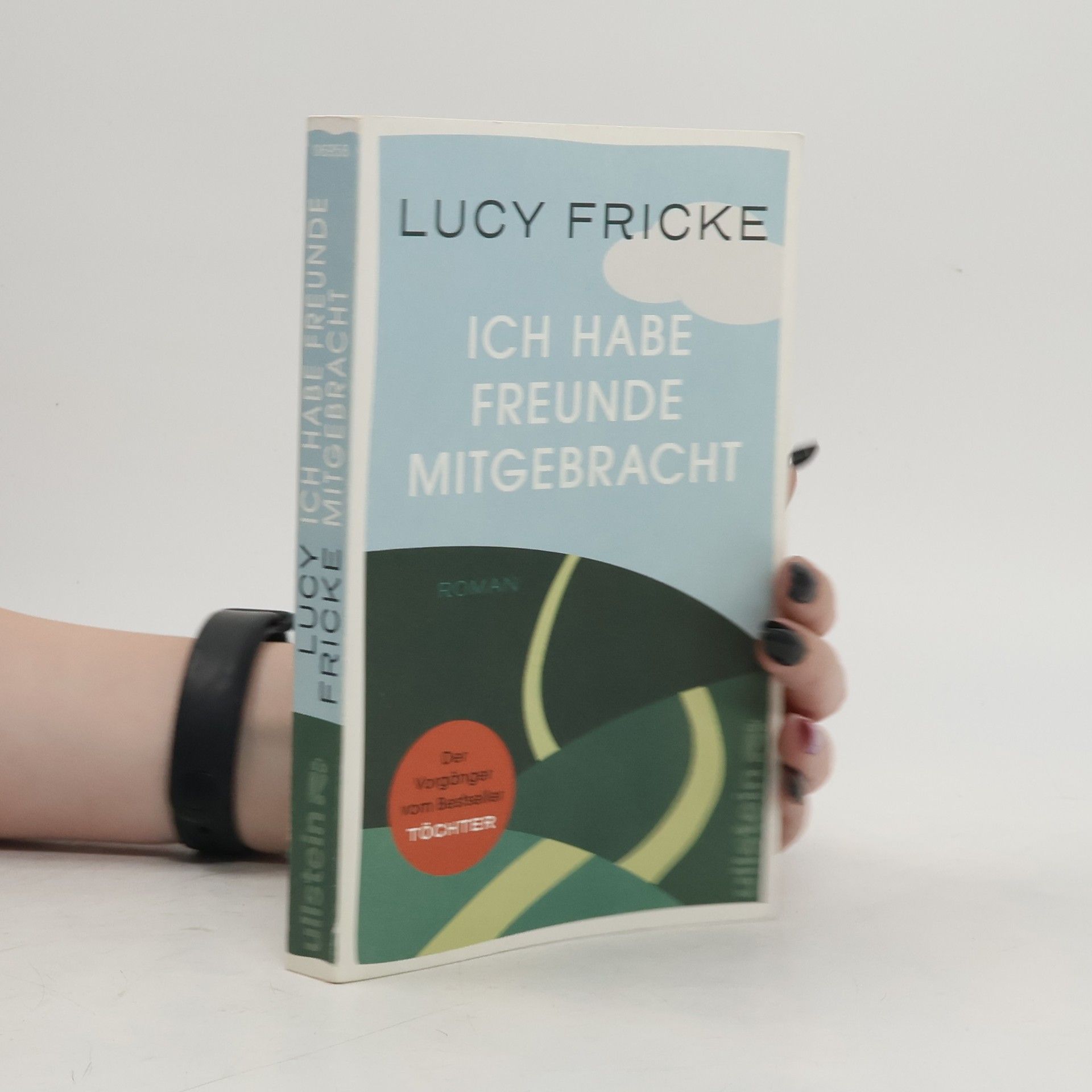 Lucy Fricke Ich habe Freunde mitgebracht
