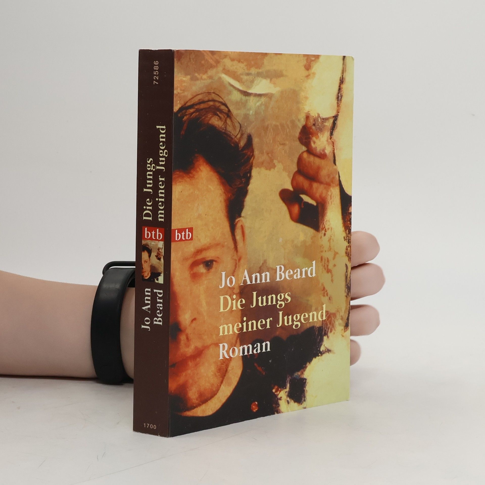 Jo A. Beard Die Jungs meiner Jugend. Roman. Dtsch. v. Sabine Lohmann