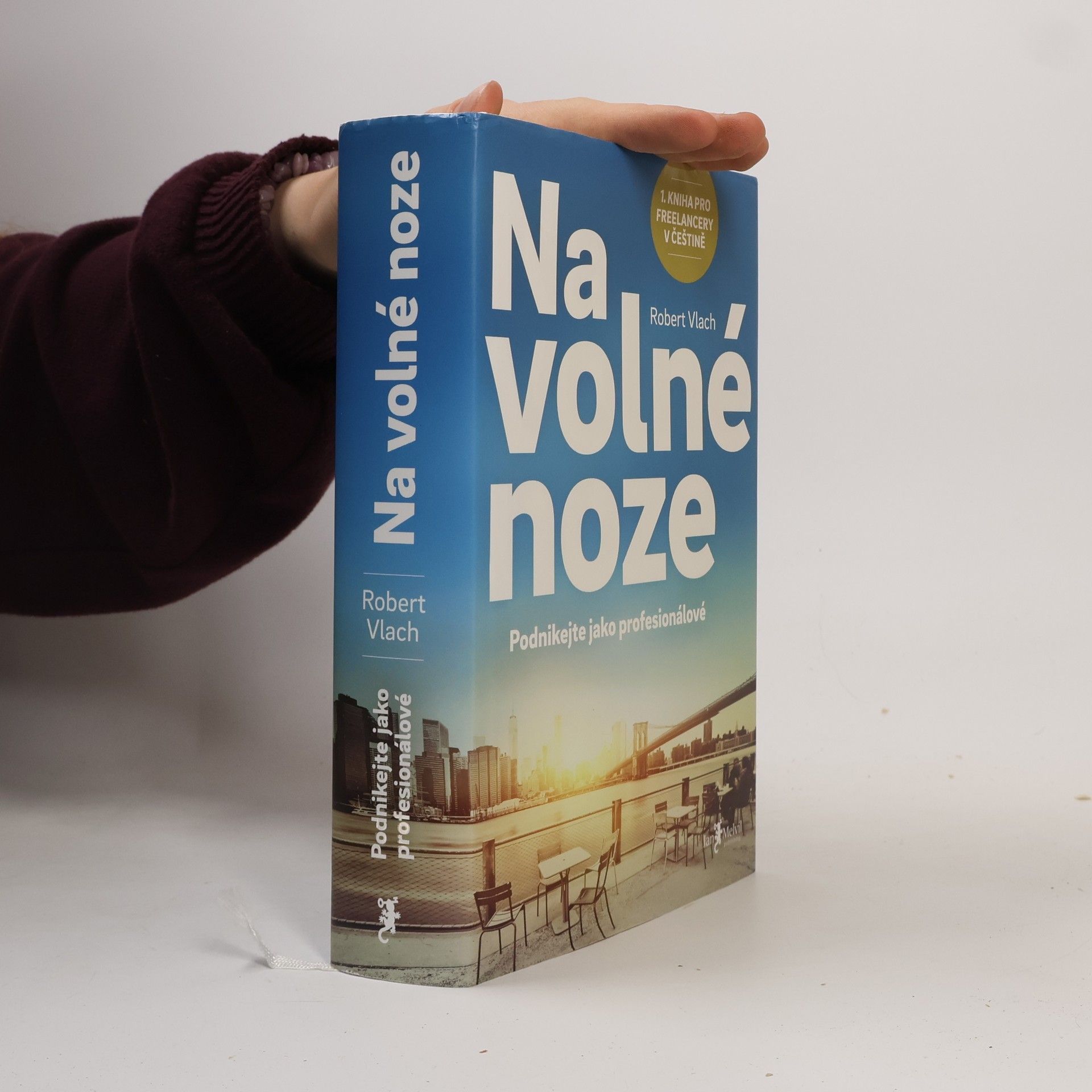 Robert Vlach (podnikatel) Na volné noze