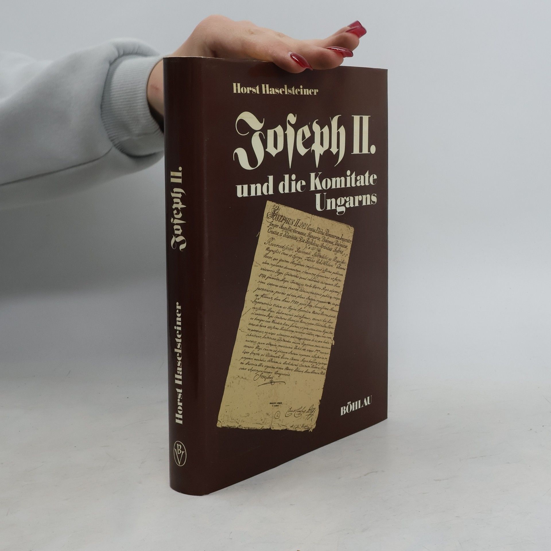 Joseph II. und die Komitate Ungarns
