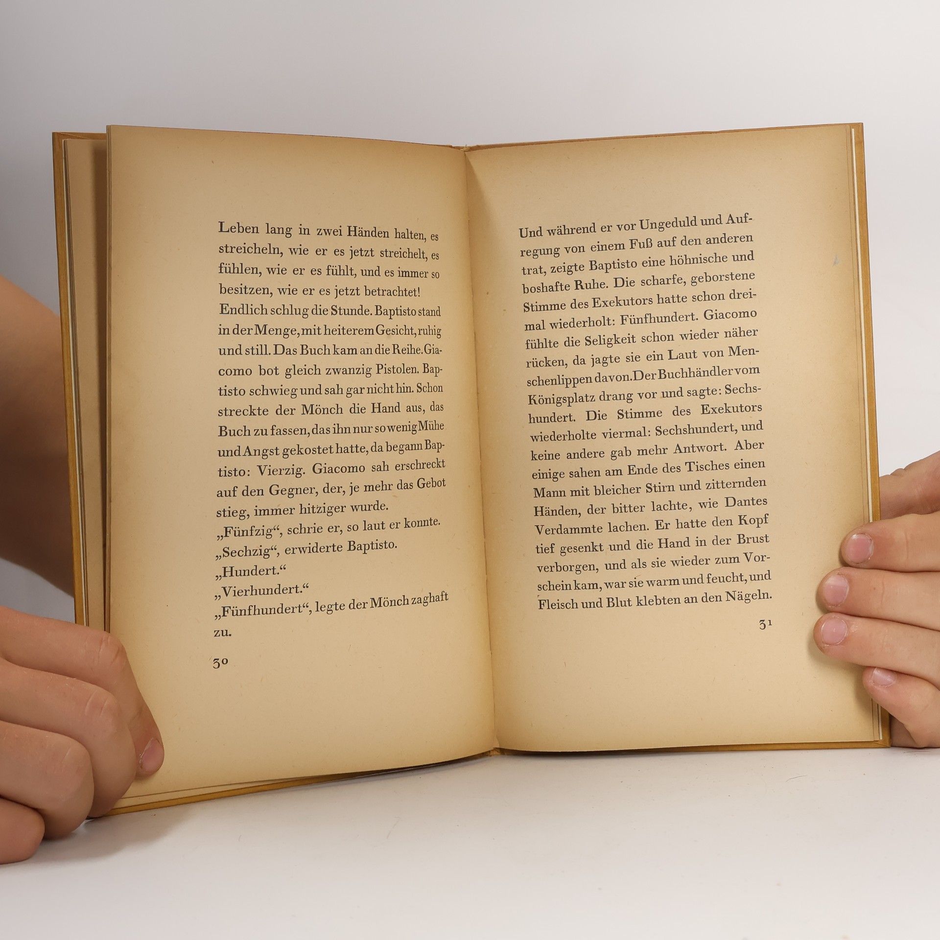 Gustave Flaubert Der Büchernarr