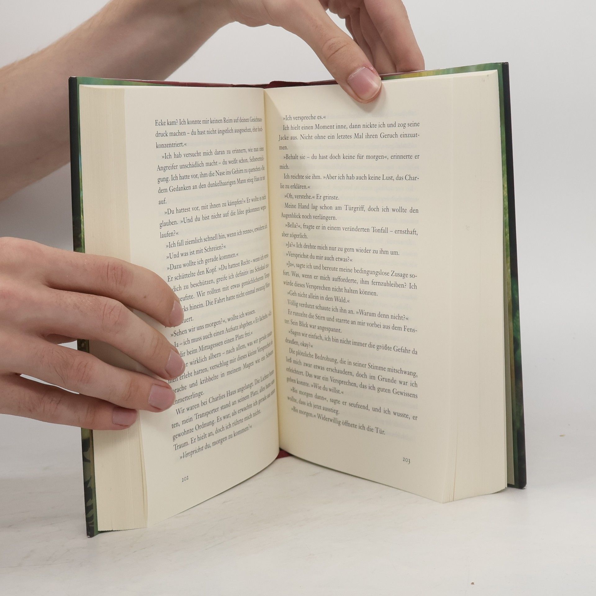 Stephenie Meyer Biss zum Morgengrauen