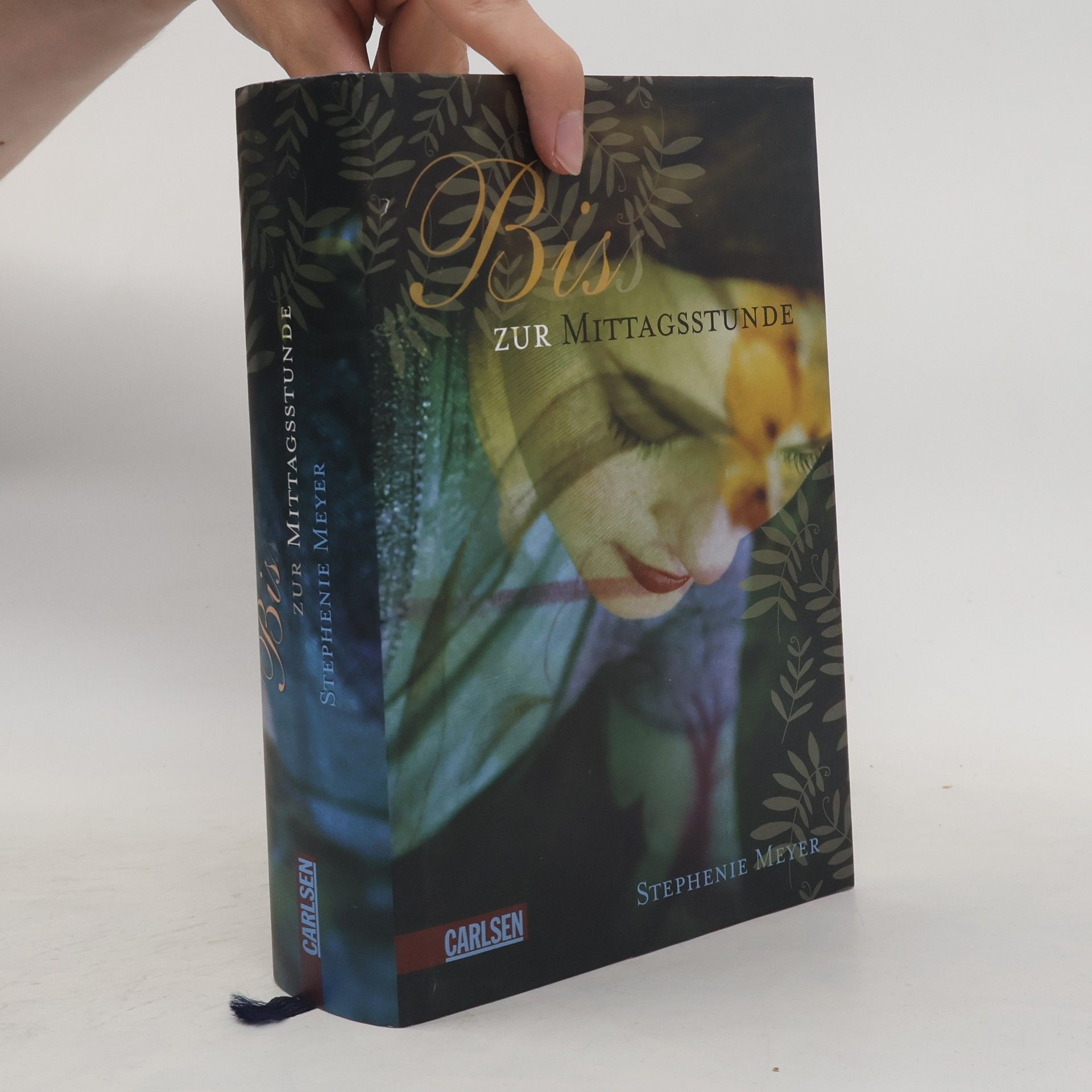 Stephenie Meyer Biss zur Mittagsstunde