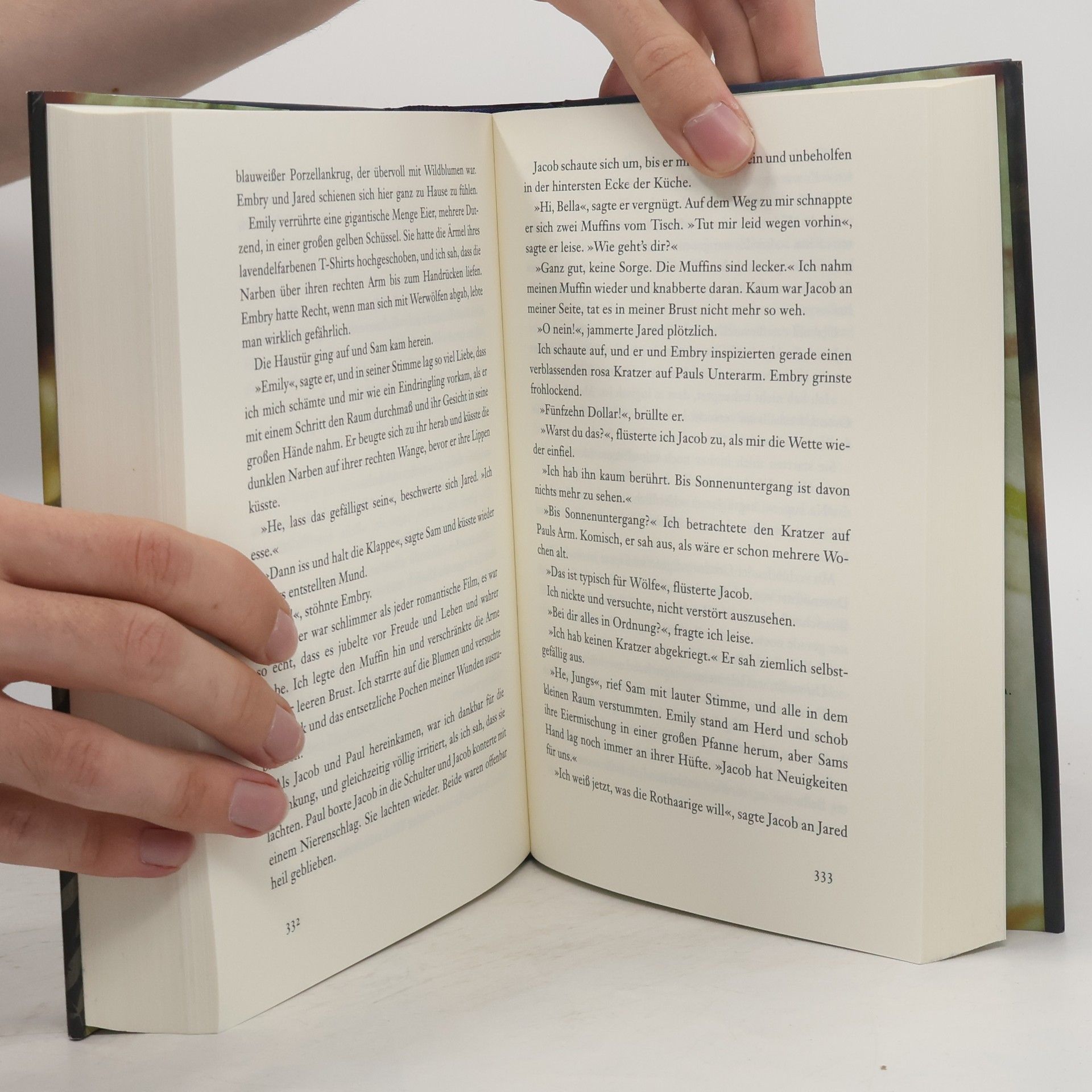Stephenie Meyer Biss zur Mittagsstunde