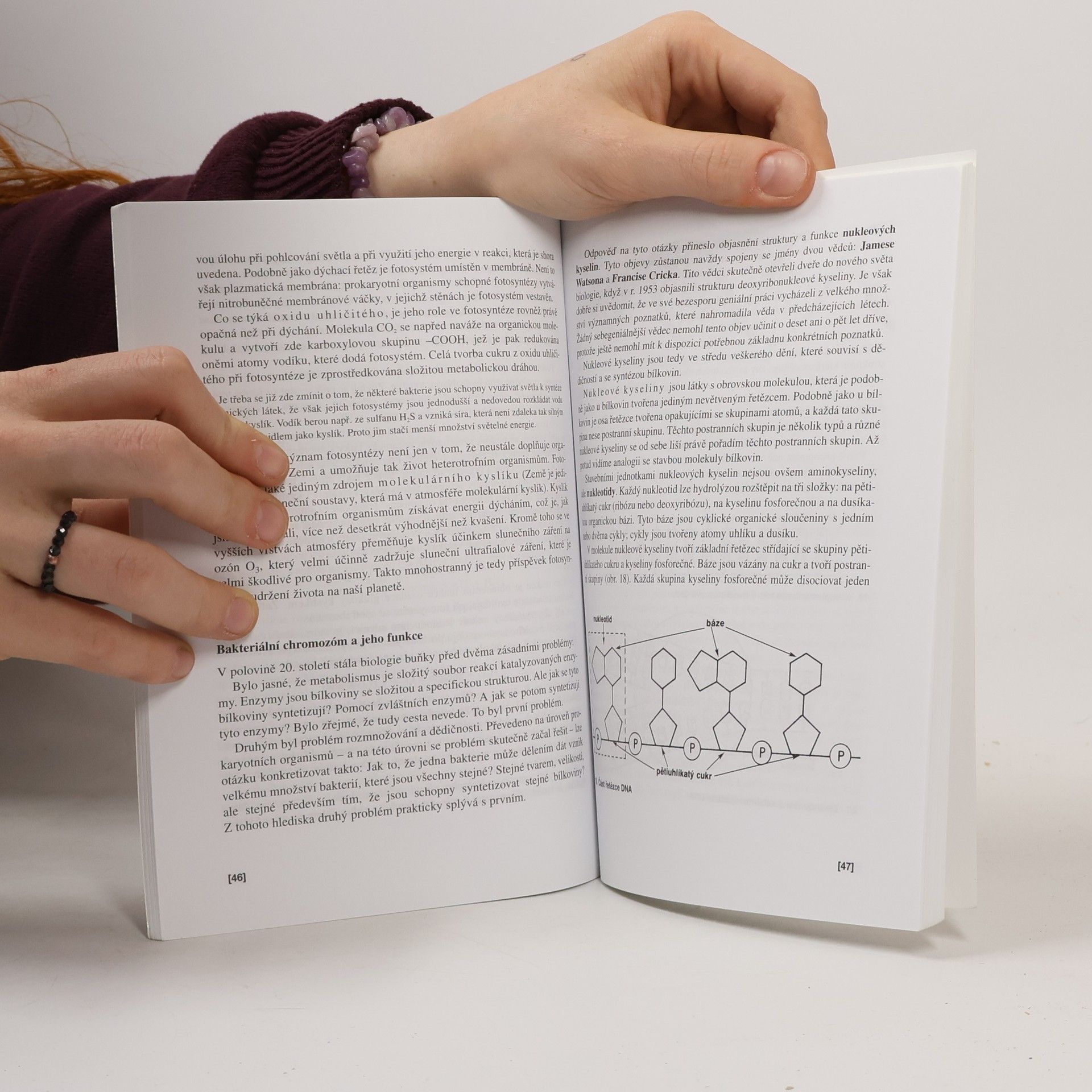 Václav Kubišta Obecná biologie. Úvodní učební text biologie pro 1. ročník gymnázií