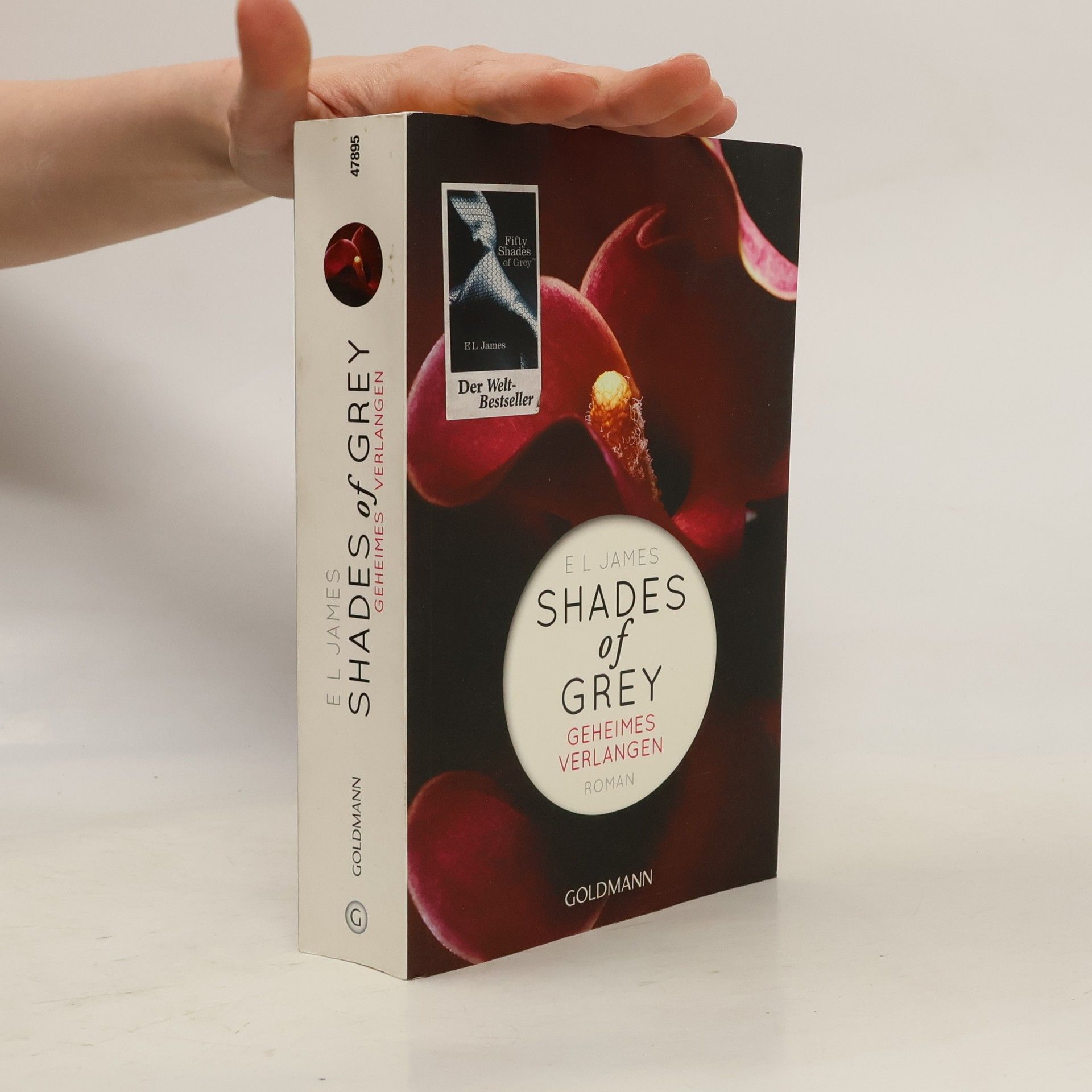 Shades of Grey. Geheimes Verlangen
