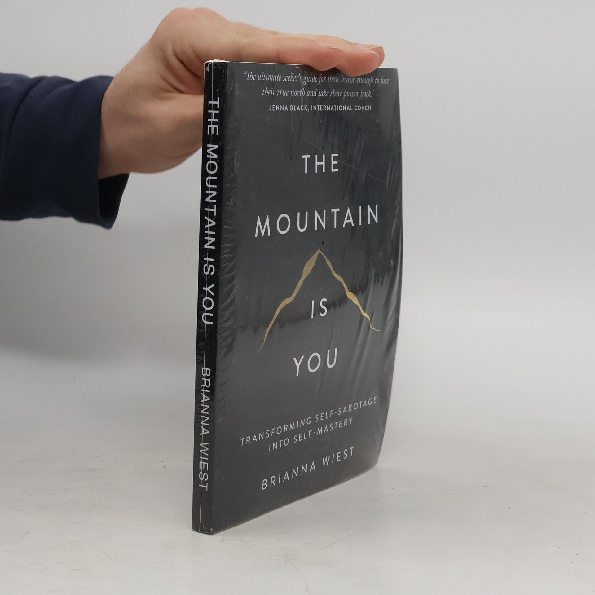 Brianna Wiest The Mountain Is You