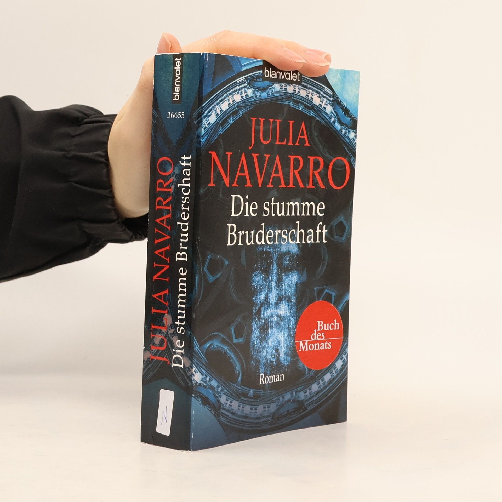 Julia Navarro Die stumme Bruderschaft