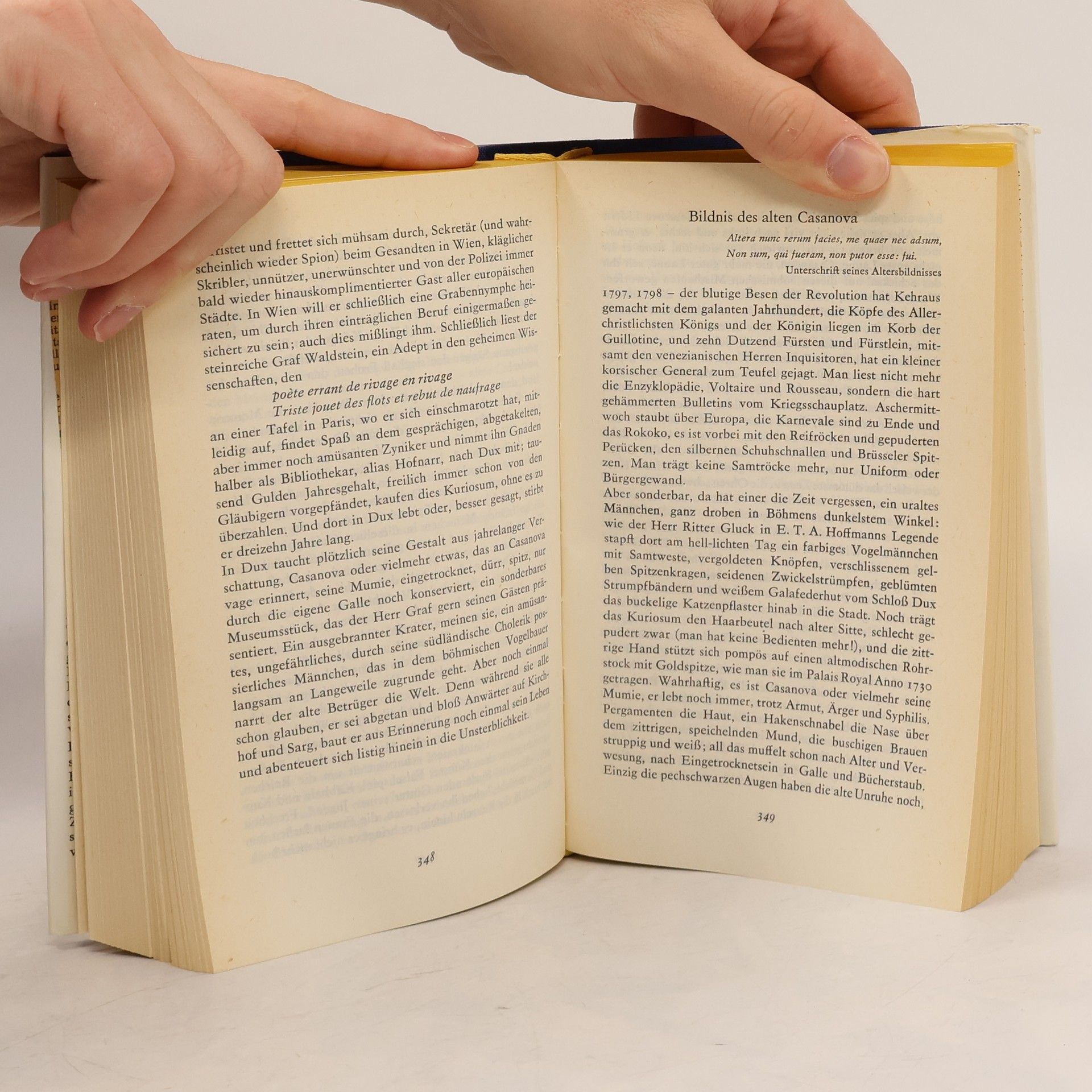 Stefan Zweig Essays. Auswahl 1925-1928