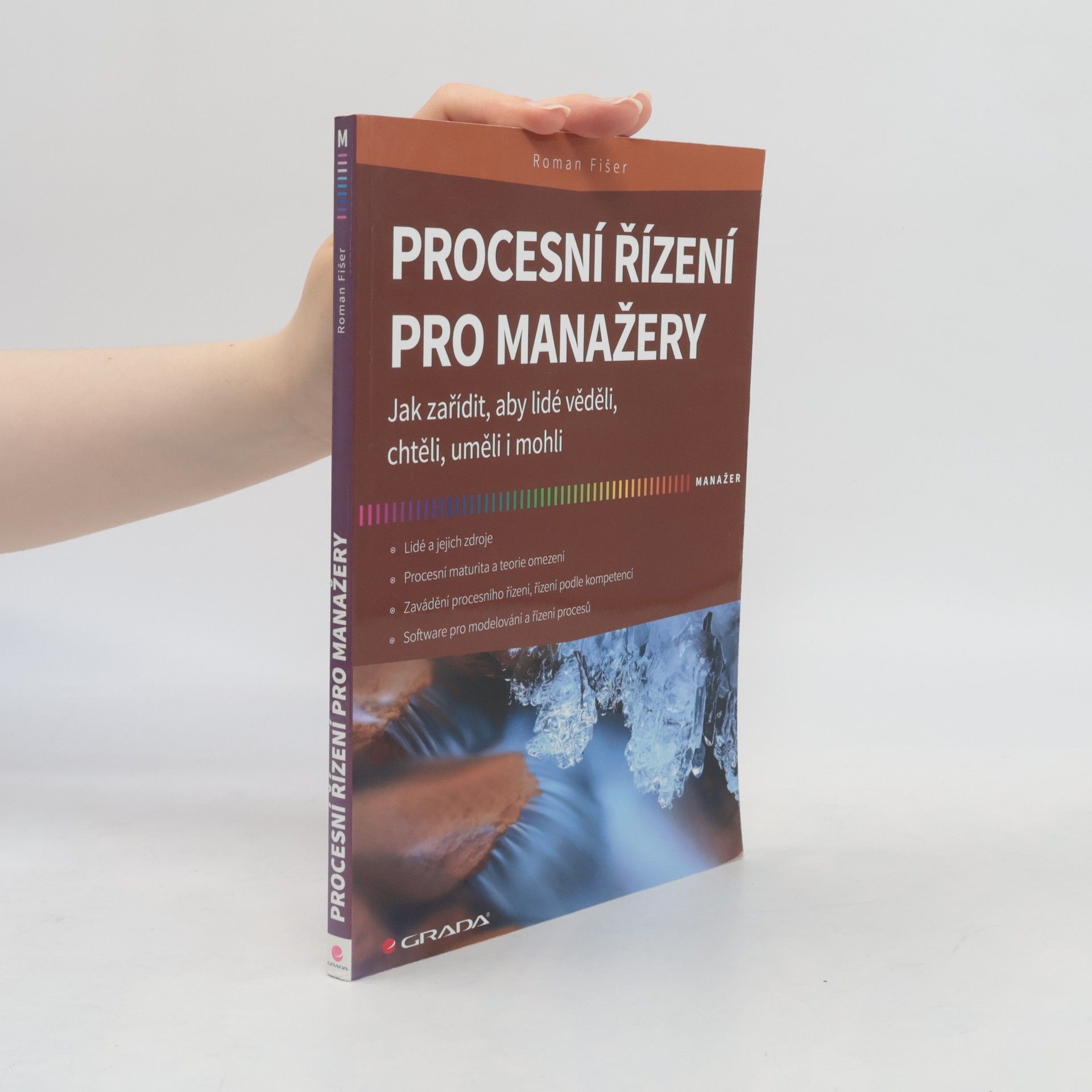 Roman Fišer Procesní řízení pro manažery