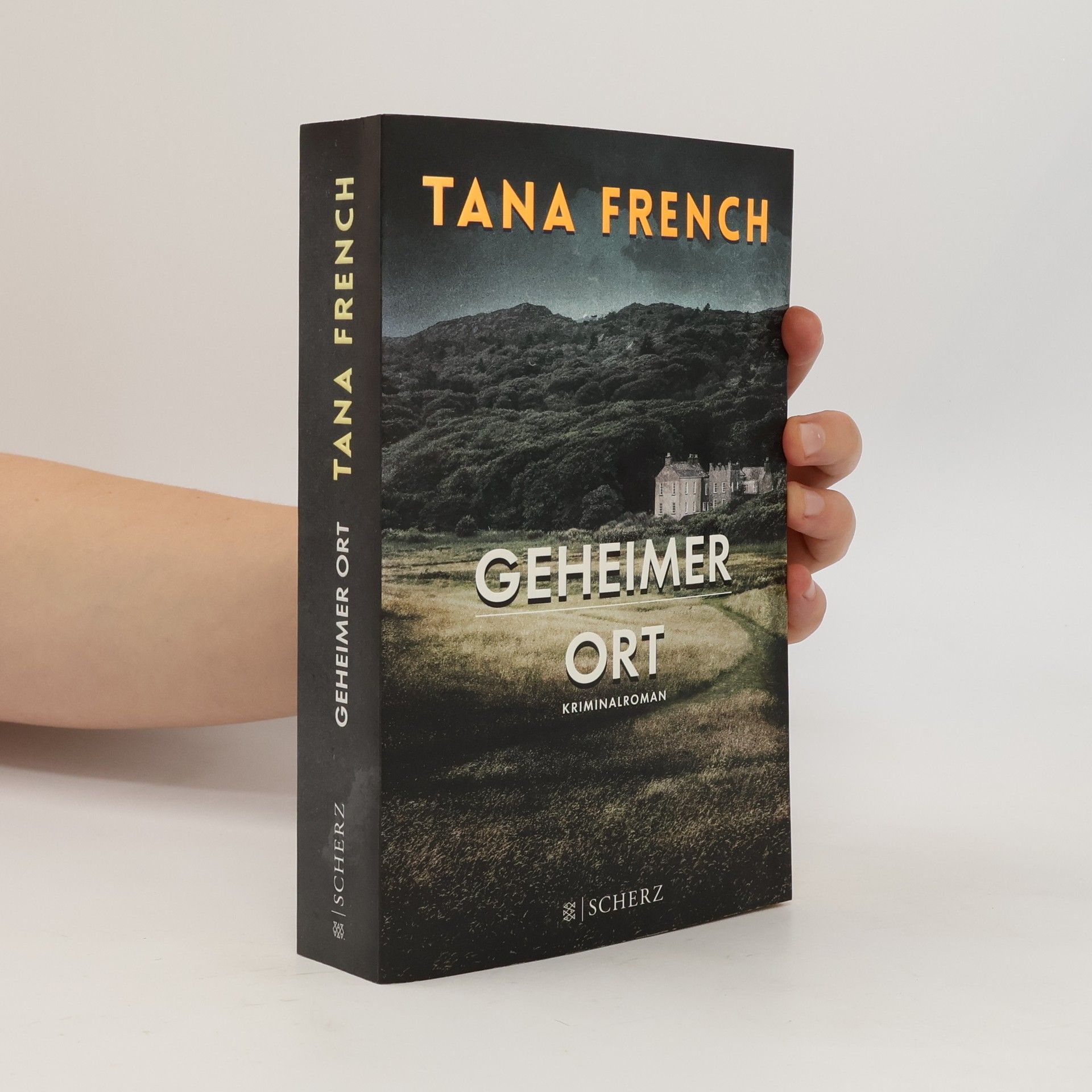 Tana French Geheimer Ort