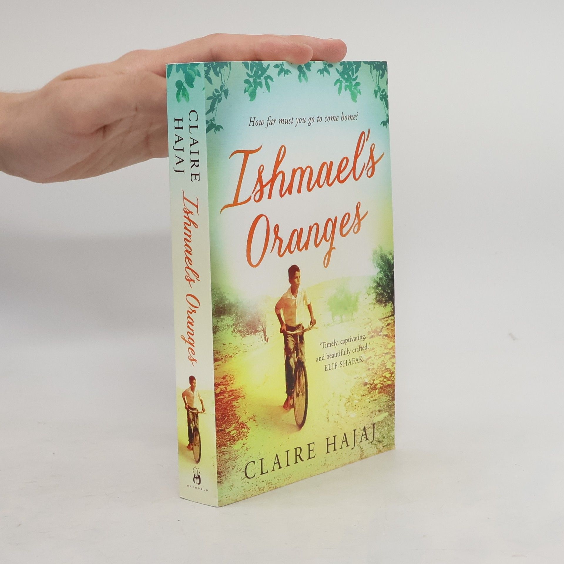 Claire Hajaj Ishmael's Oranges