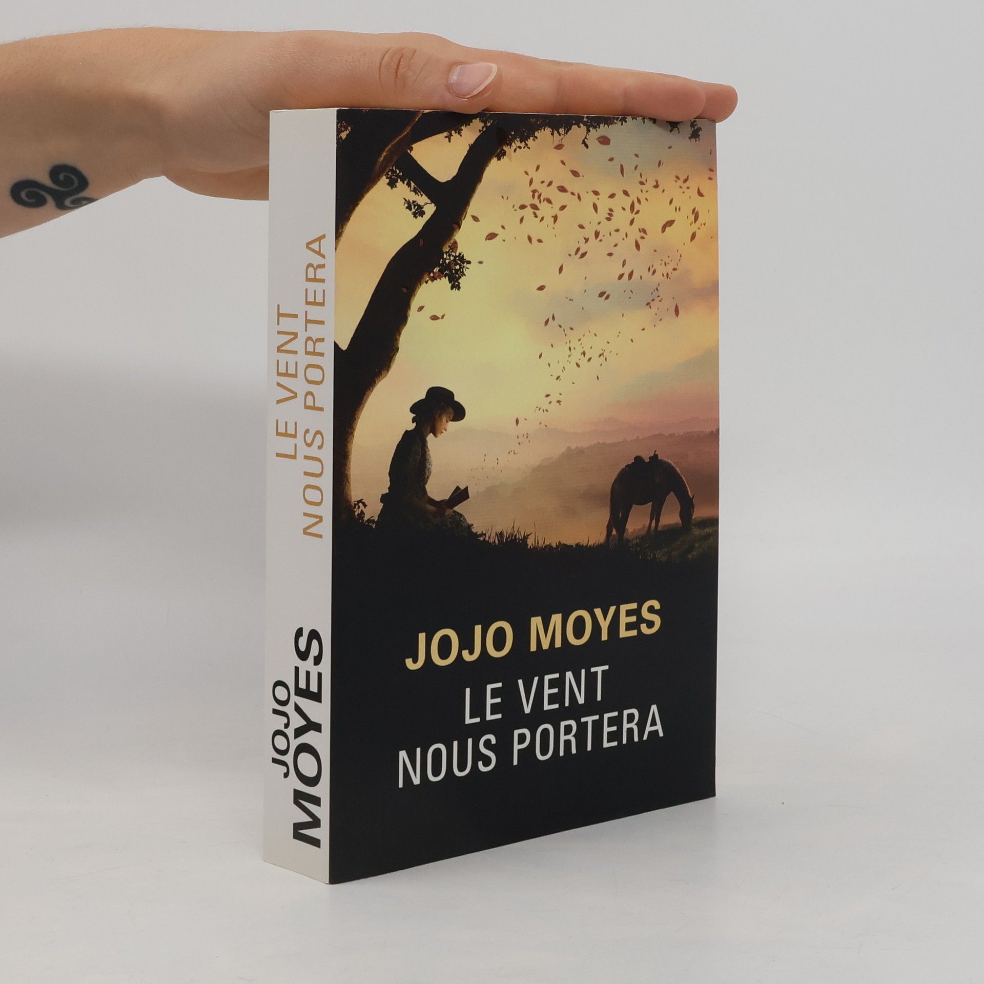 Jojo Moyesová Le vent nous portera