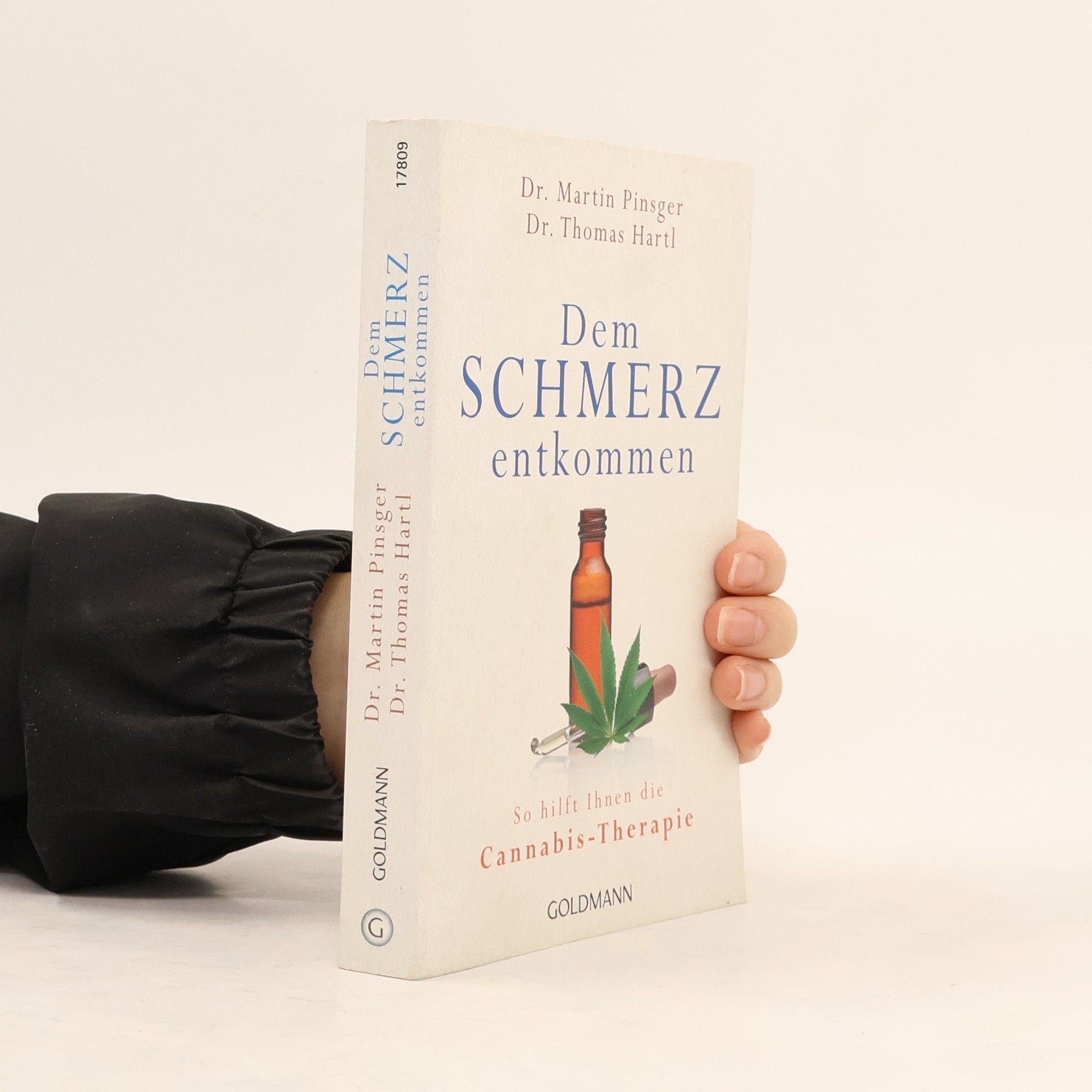 Martin Pinsger Dem Schmerz entkommen