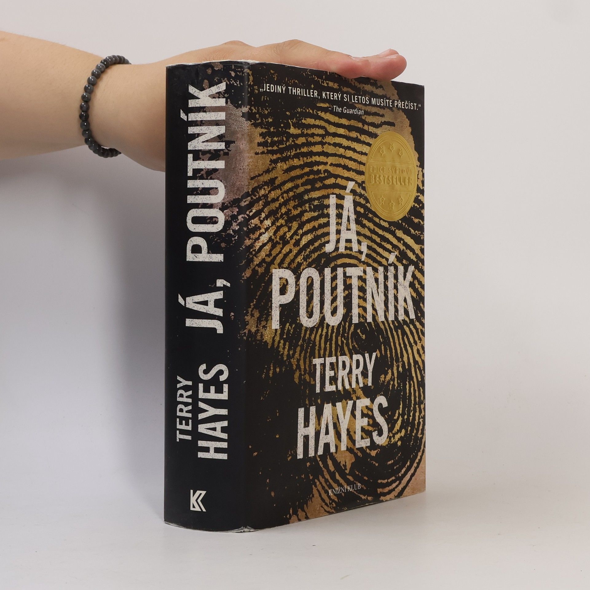 Terry Hayes Já, Poutník