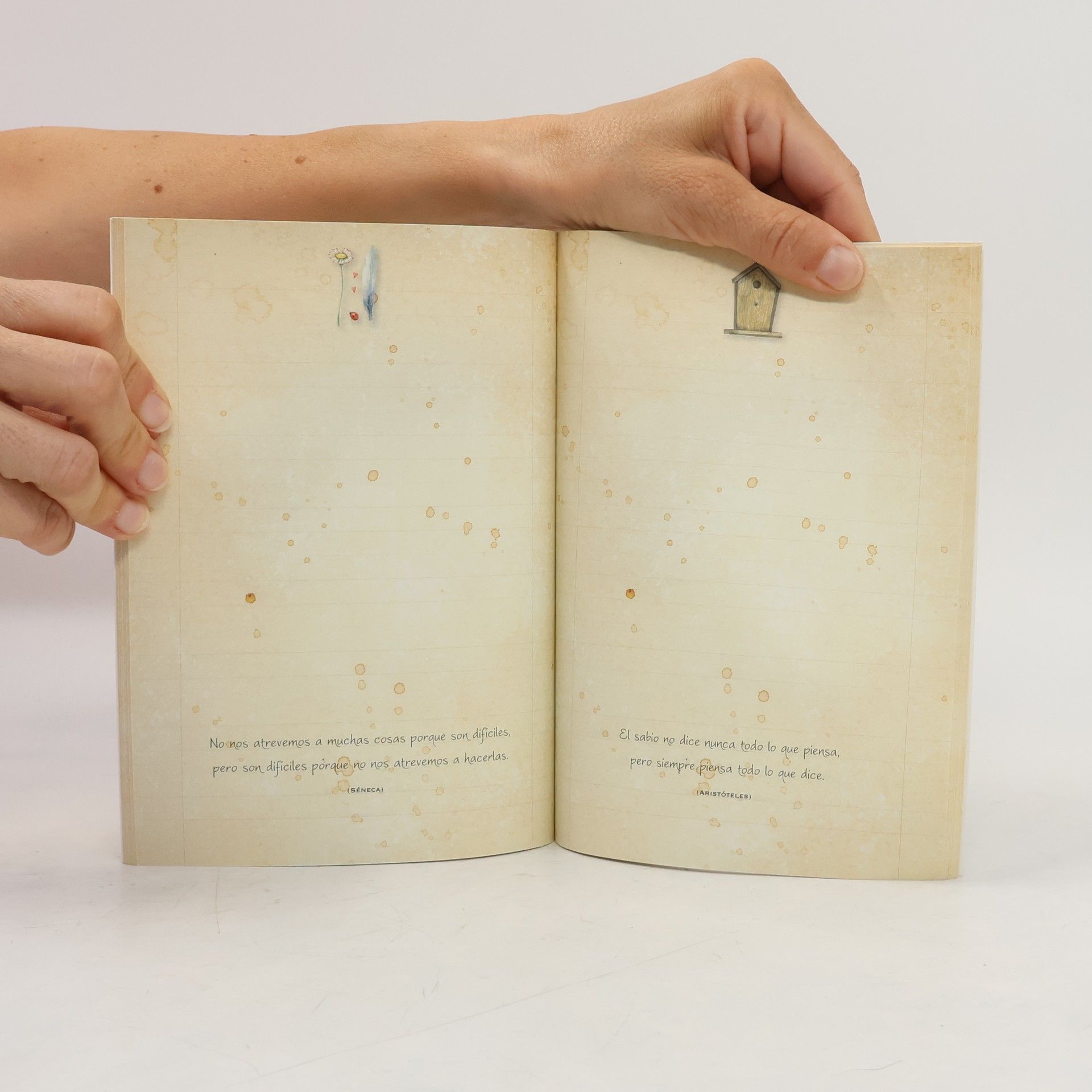 Equipo Todolibro  Meditaciones