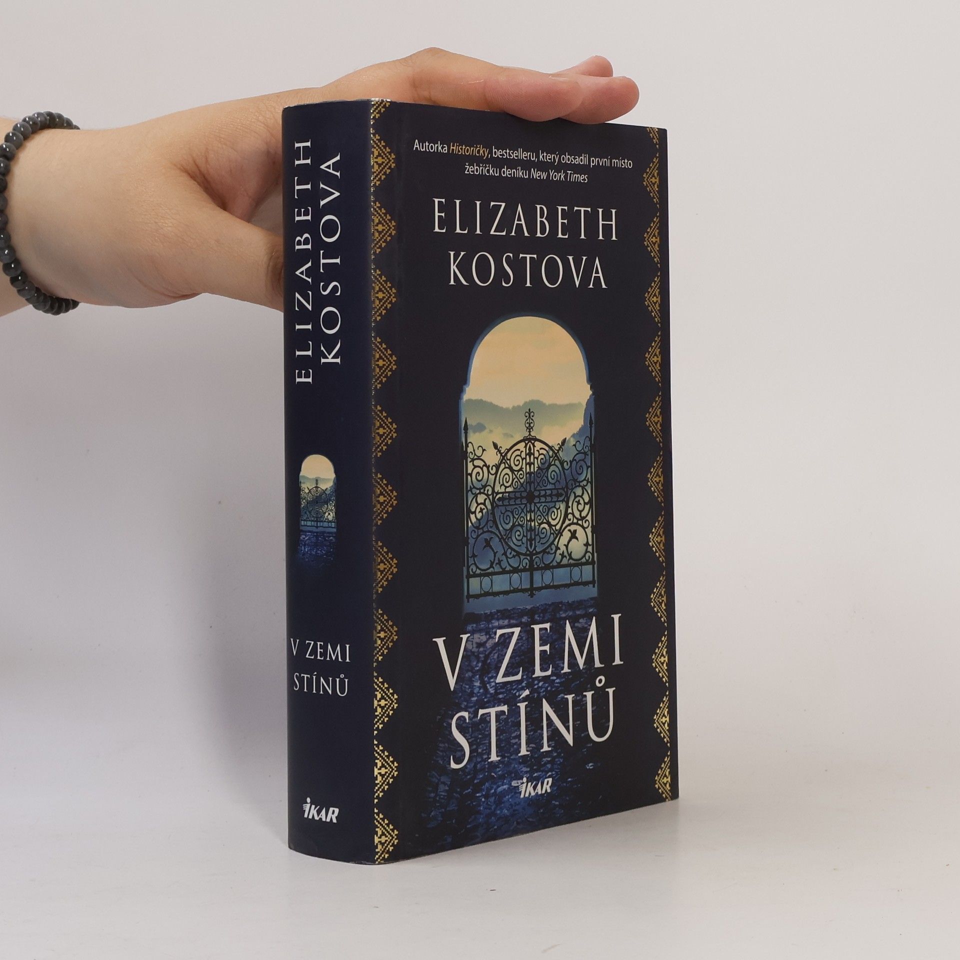 Elizabeth Kostova V zemi stínů