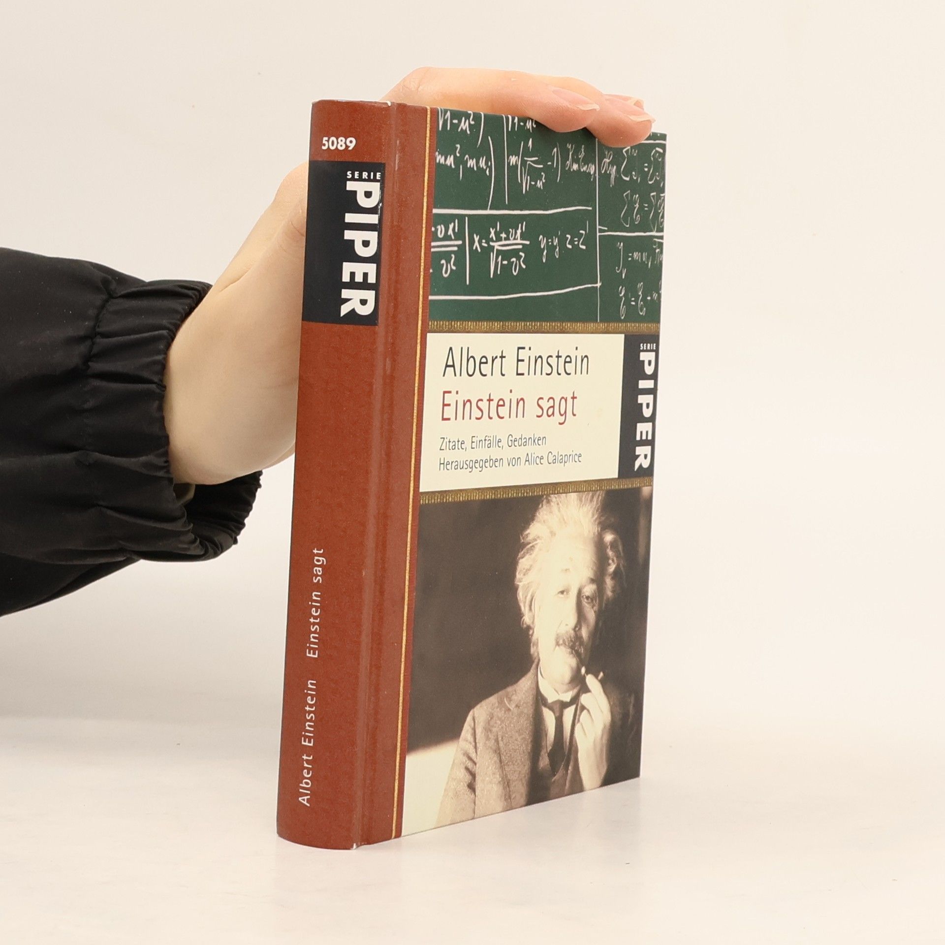 Albert Einstein Einstein sagt