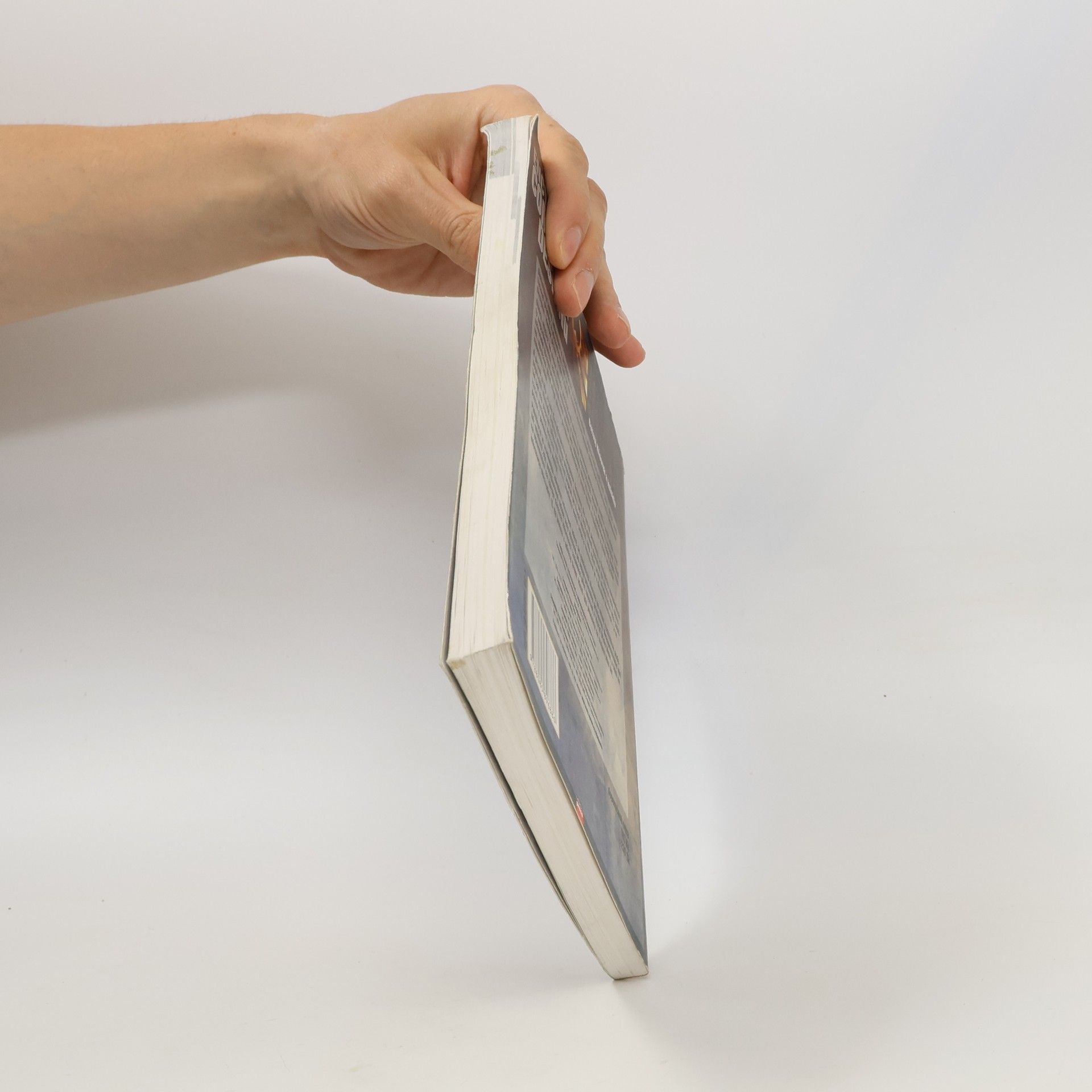 Bořivoj Kňourek Encyklopedie computer designu