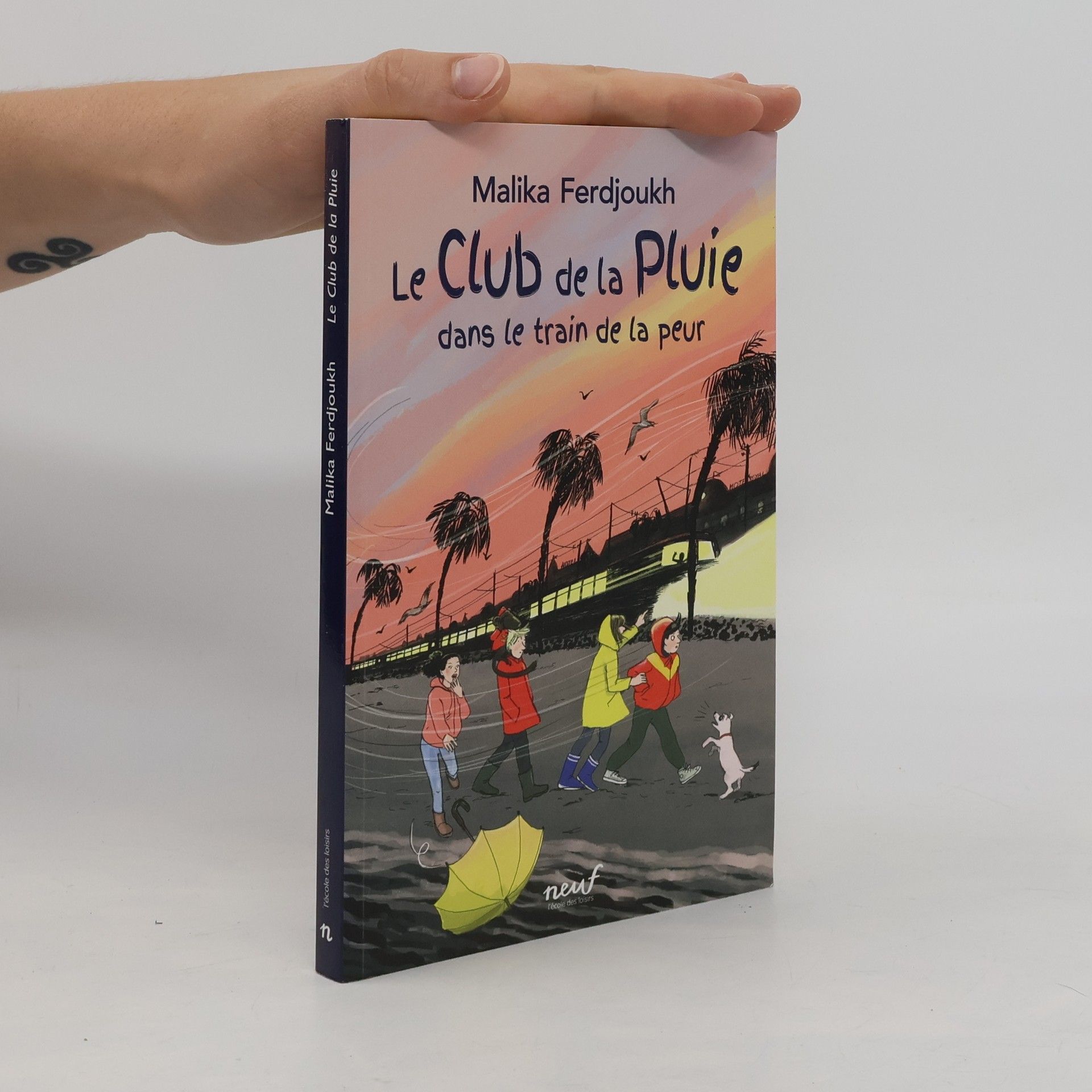 Malika Ferdjoukh Le club de la pluie dans le train de la peur