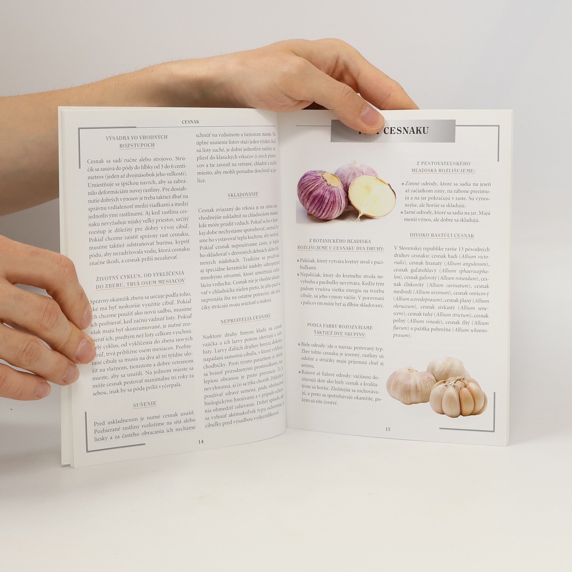 Various authors Cesnak