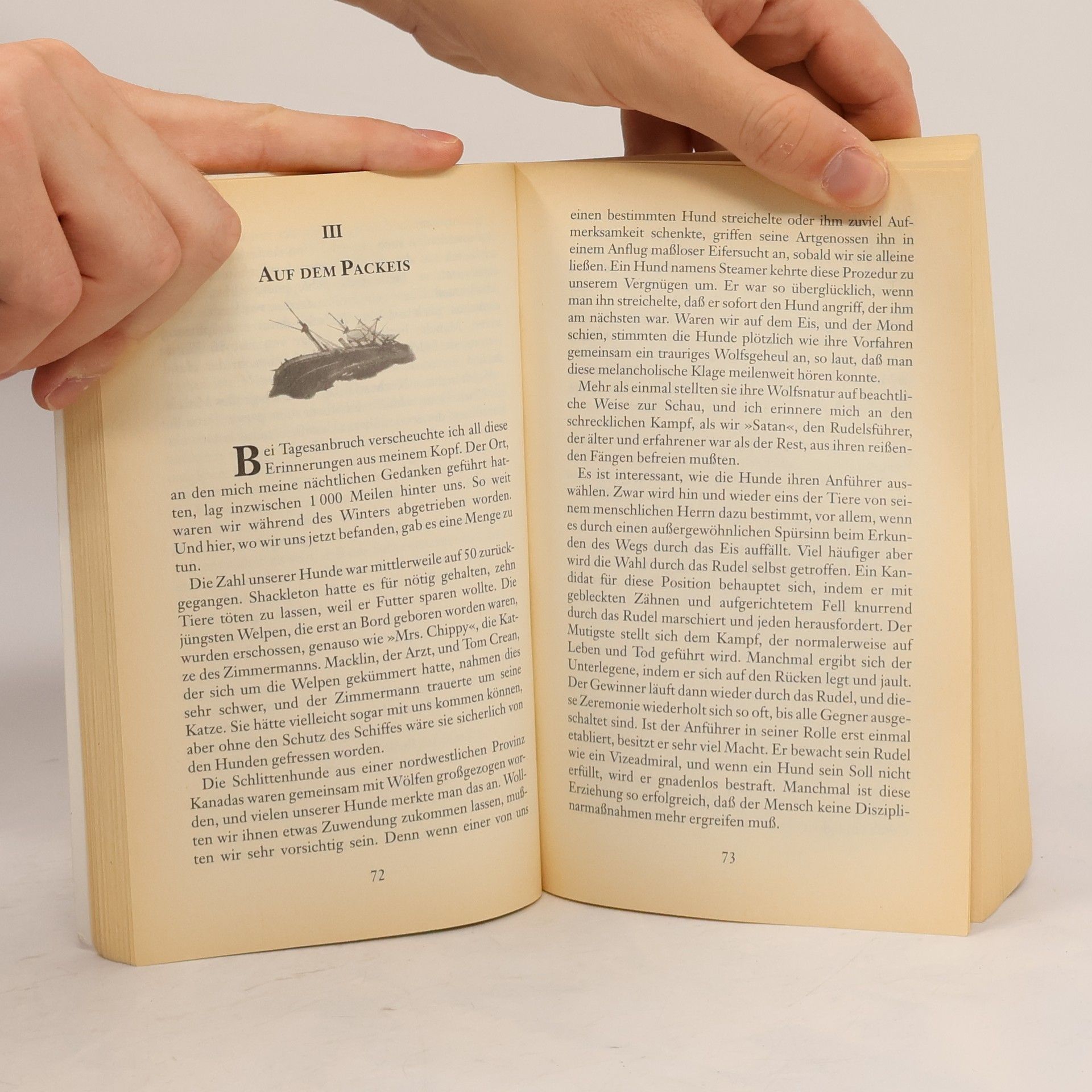 Frank Arthur Worsley Der Untergang der Endurance